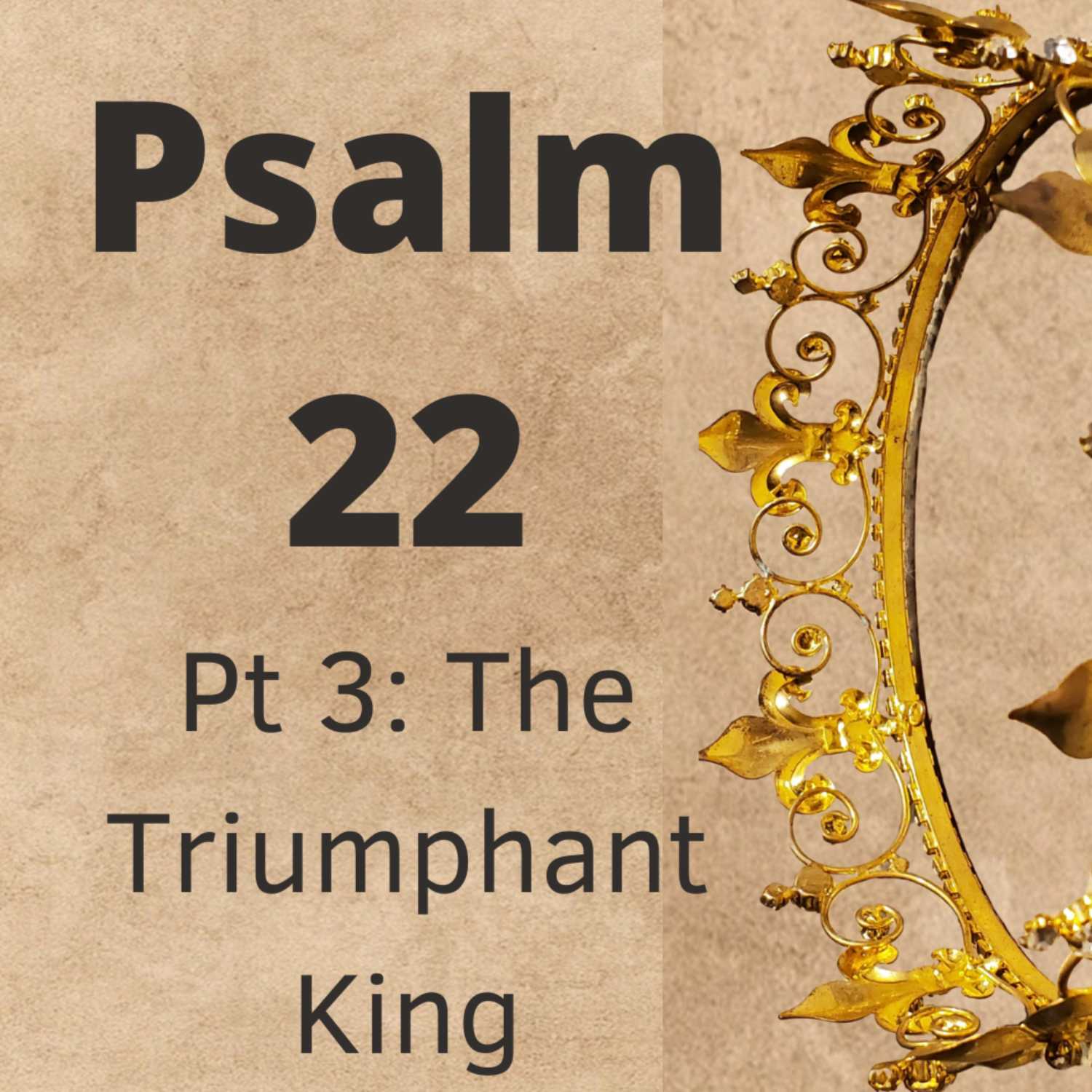 The Triumphant King - Psalm 22:22-31 (Communion Thanksgiving Service) episode artwork