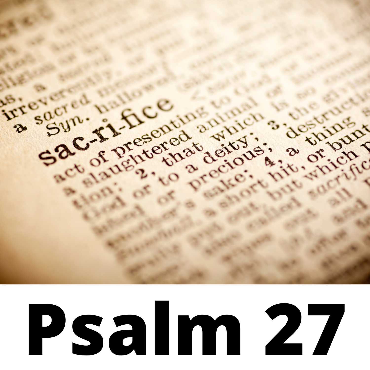 Beholding the Beauty of God - Psalm 27 episode artwork