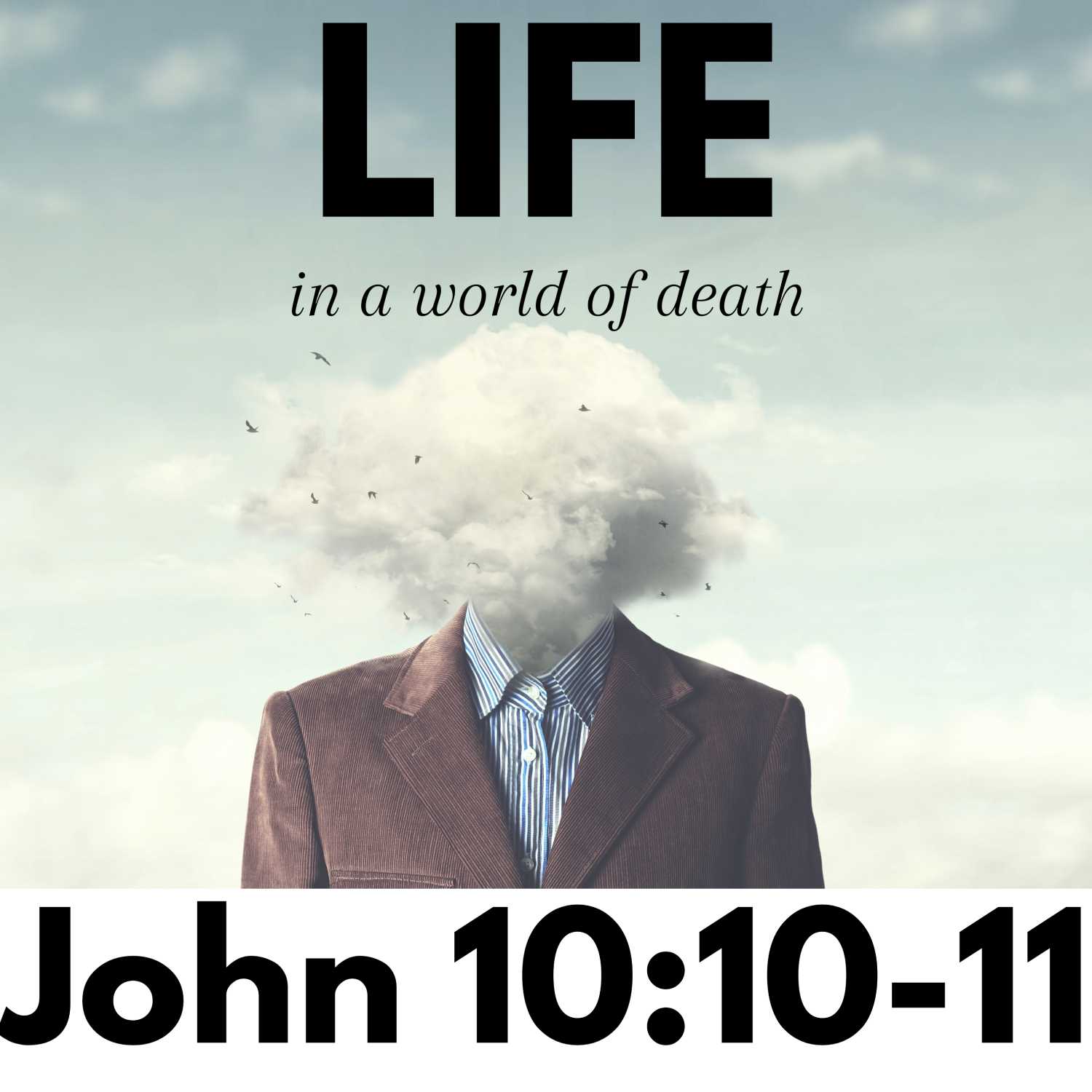 LIFE in a World of Death - John 10:10-11 episode artwork
