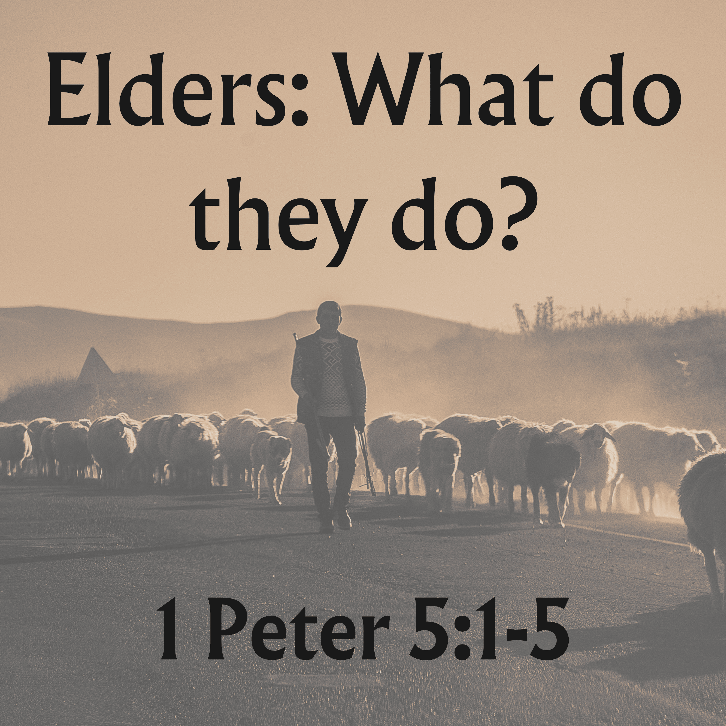 Elders: What do they do? - 1 Peter 5:1-5