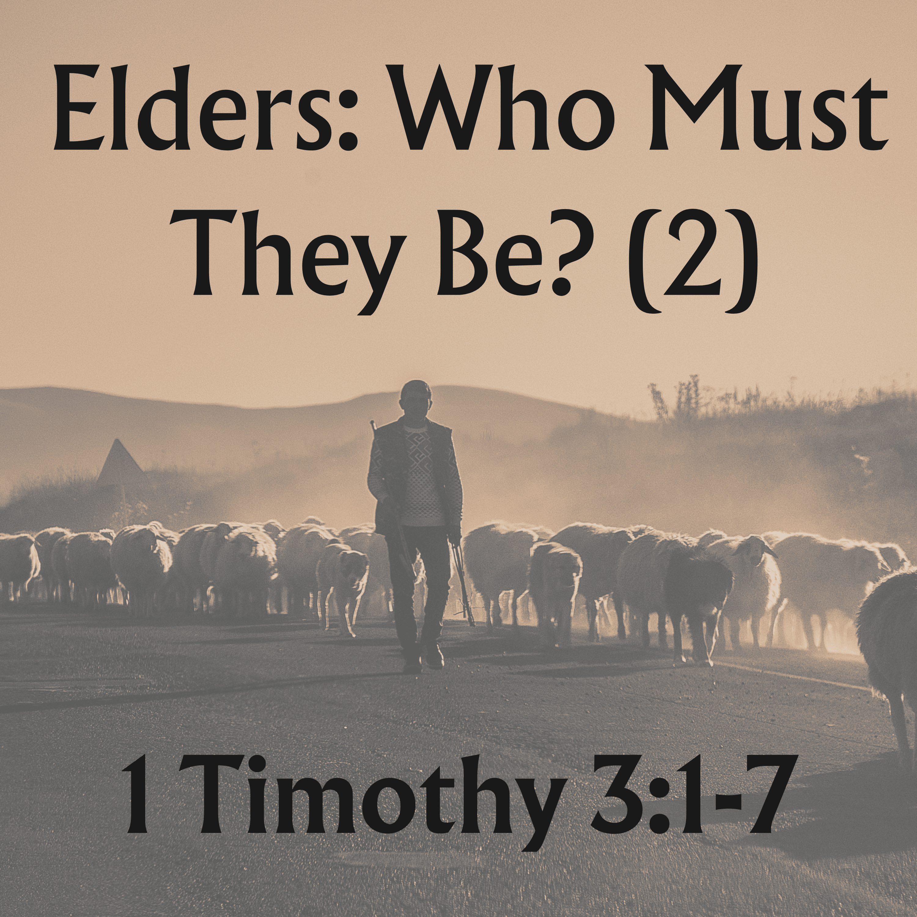Elders: Who Must they be? (2)  - 1 Timothy 3:1-7
