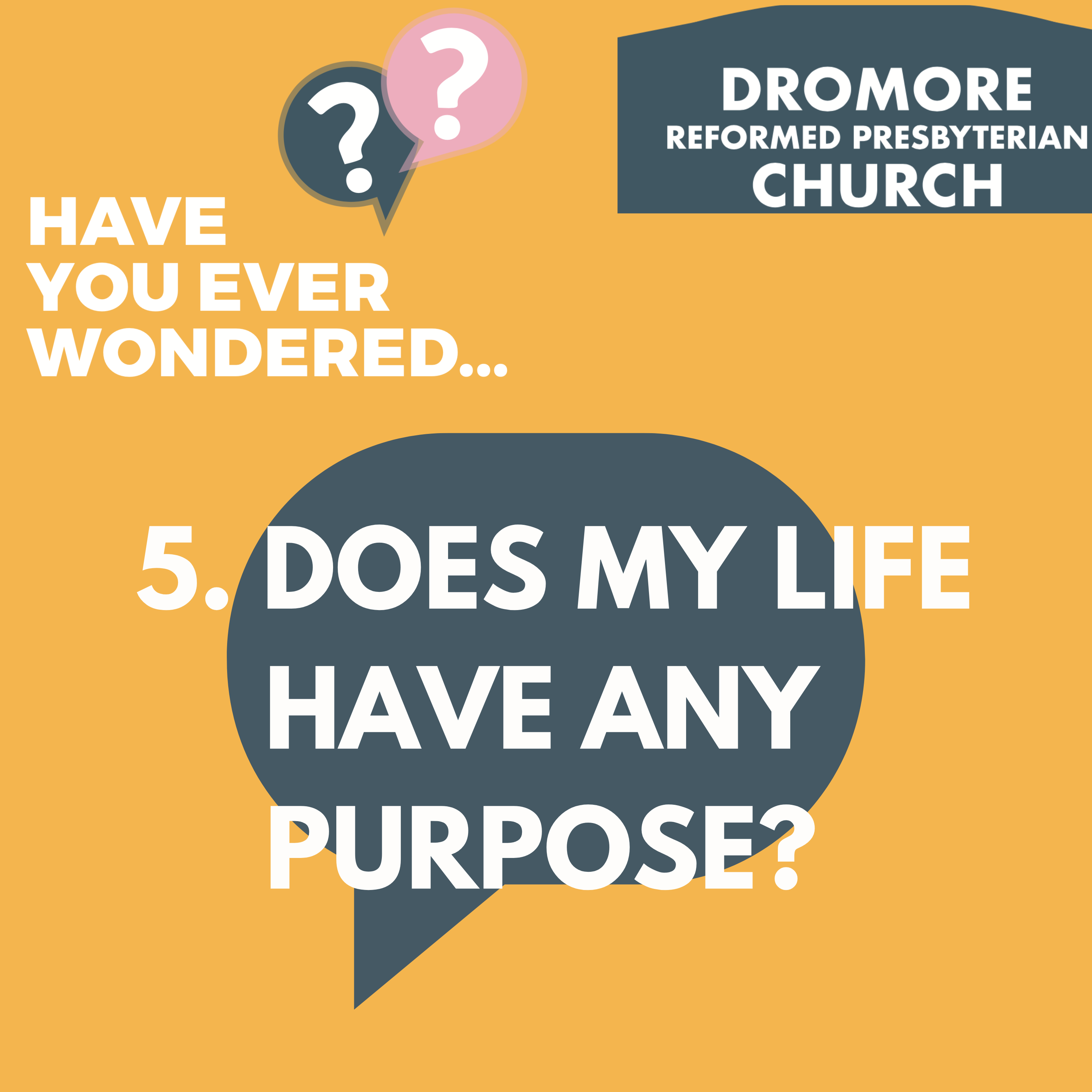 Have You Ever Wondered (5) Does My Life Have Any Purpose?