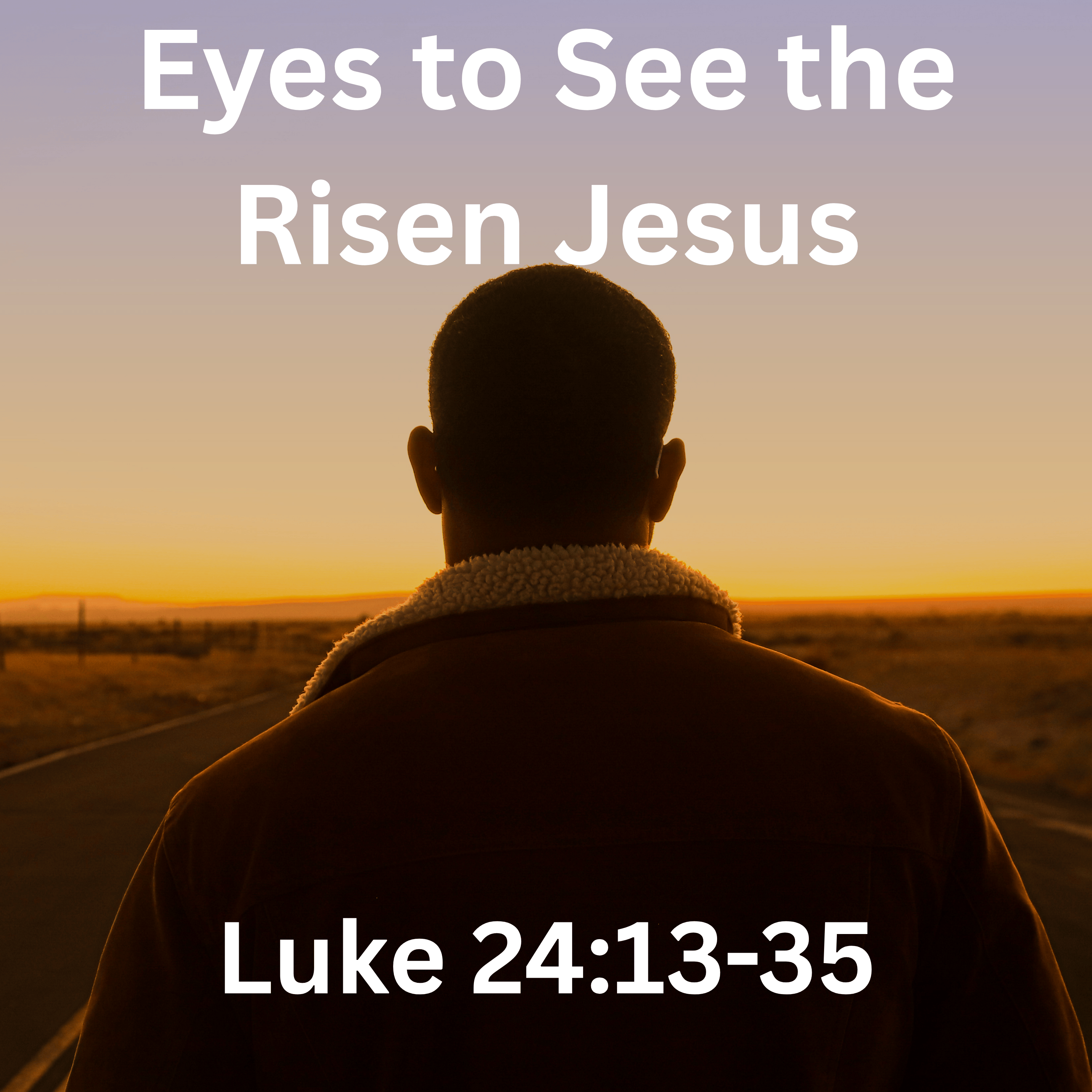 Eyes to See the Risen Jesus - Luke 24:13-35