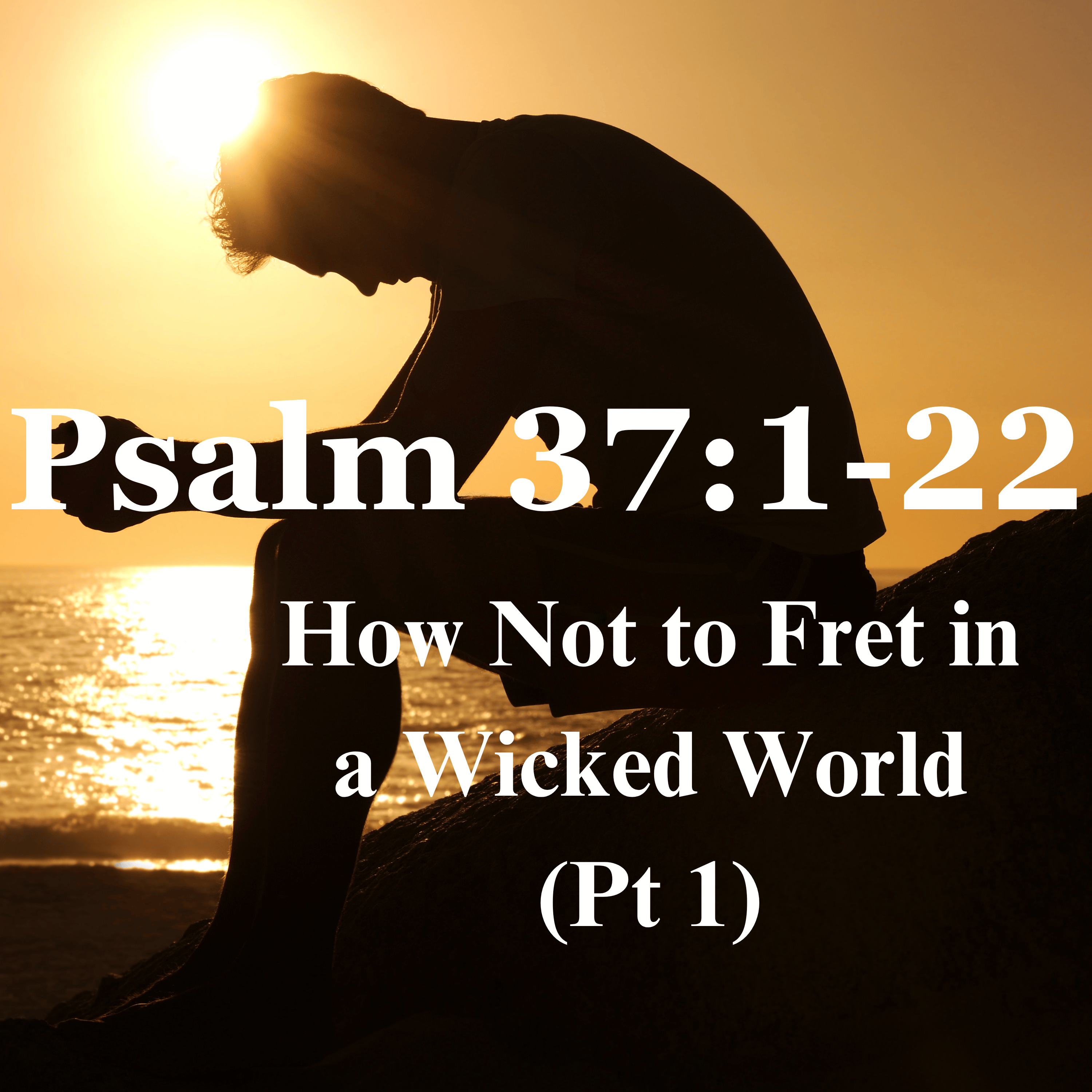 How Not to Fret in a Wicked World (Pt 1) - Psalm 37:1-22 episode artwork