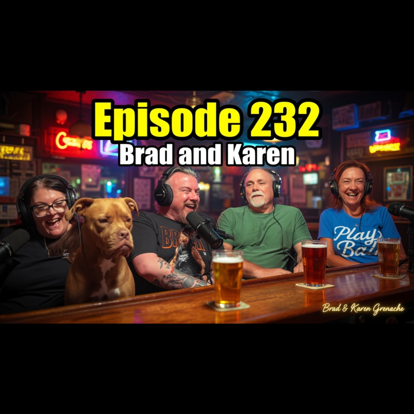 Episode 232: Brad and Karen In Studio Part 2 episode artwork