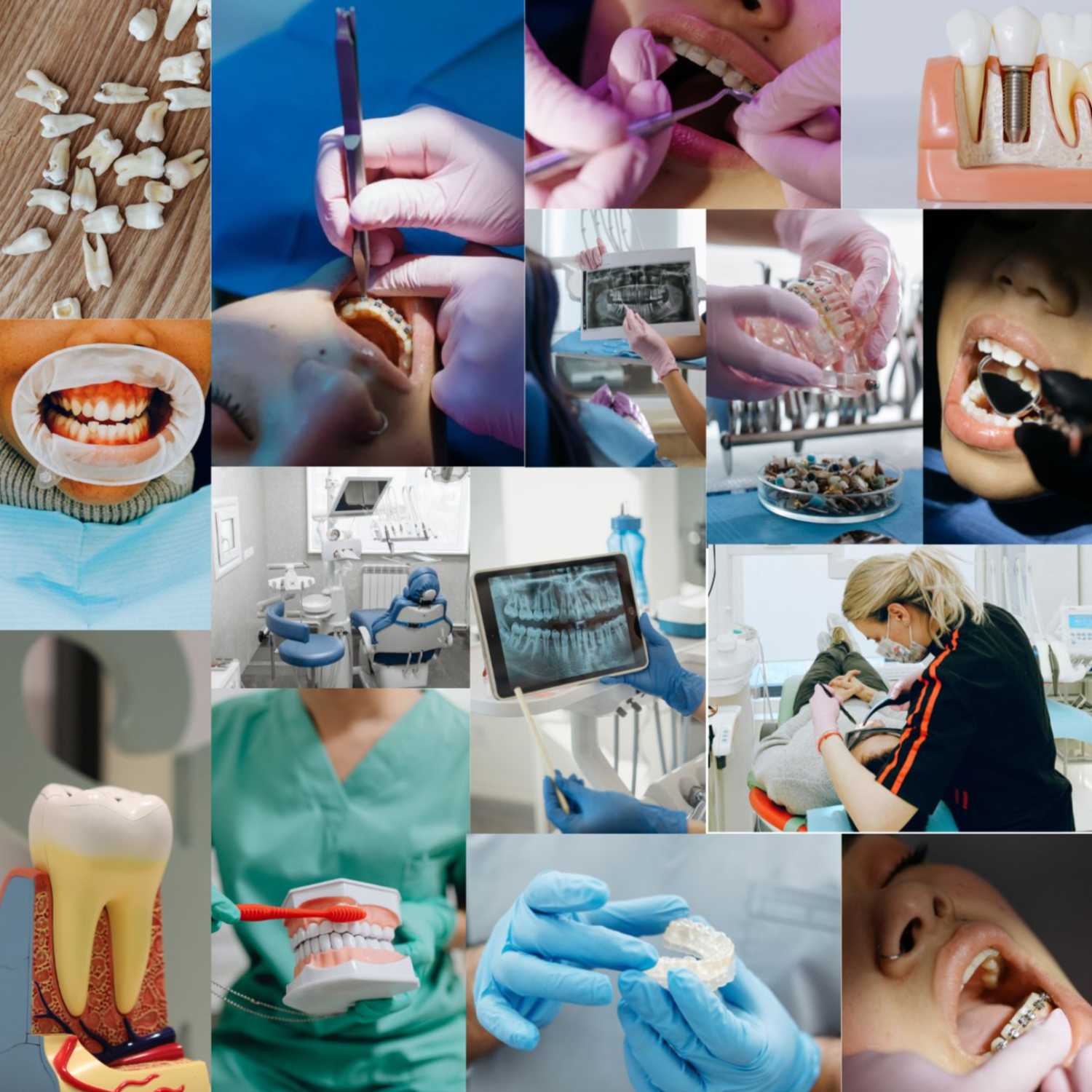 ODONTOLOGÍA