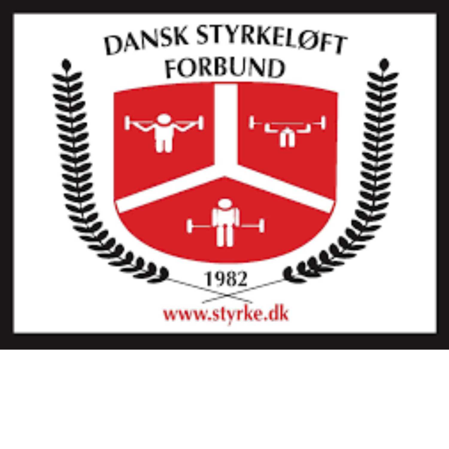 DSFsamtaler af Jesper Steenstrup Vogelius