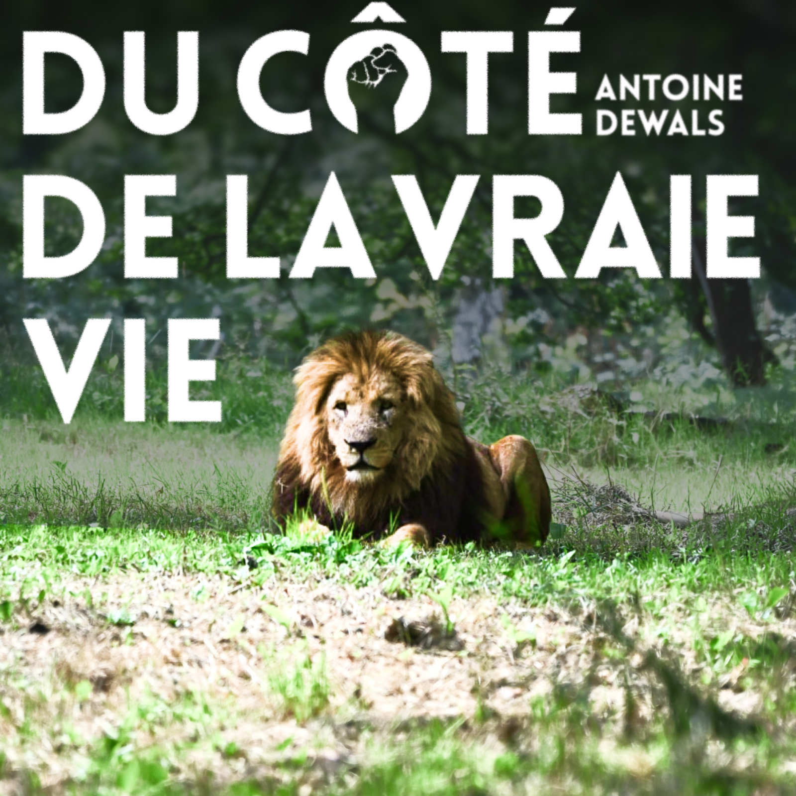 DU CÔTÉ DE LA VRAIE VIE