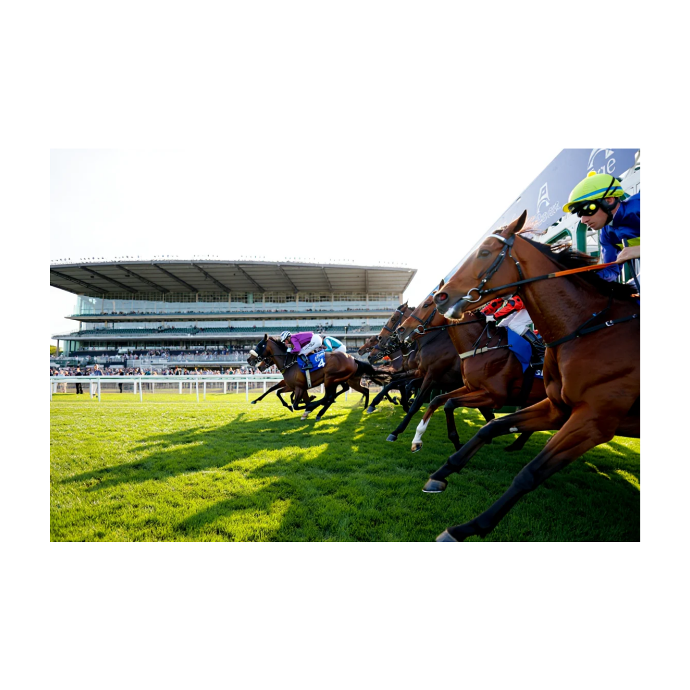 Quinté Prix du Petit Pré 29 mai 2025 : Pronostics Longchamp