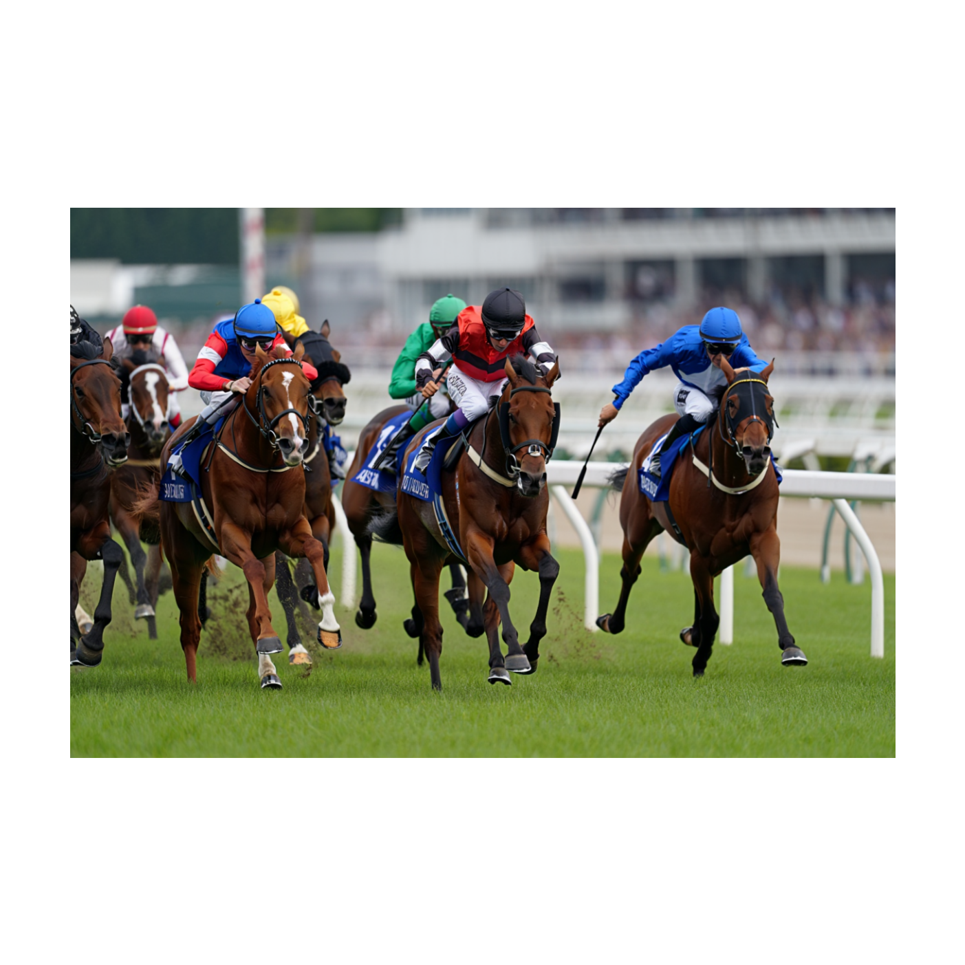 Duel du Quinté du 28 juin – Prix du Roussillon à l’hippodrome d’Enghien-Soisy : Partants, pronostics, bases solides, outsiders et tocards