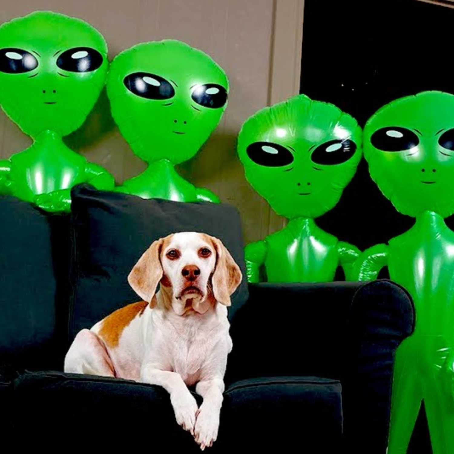 a VERY real podcast