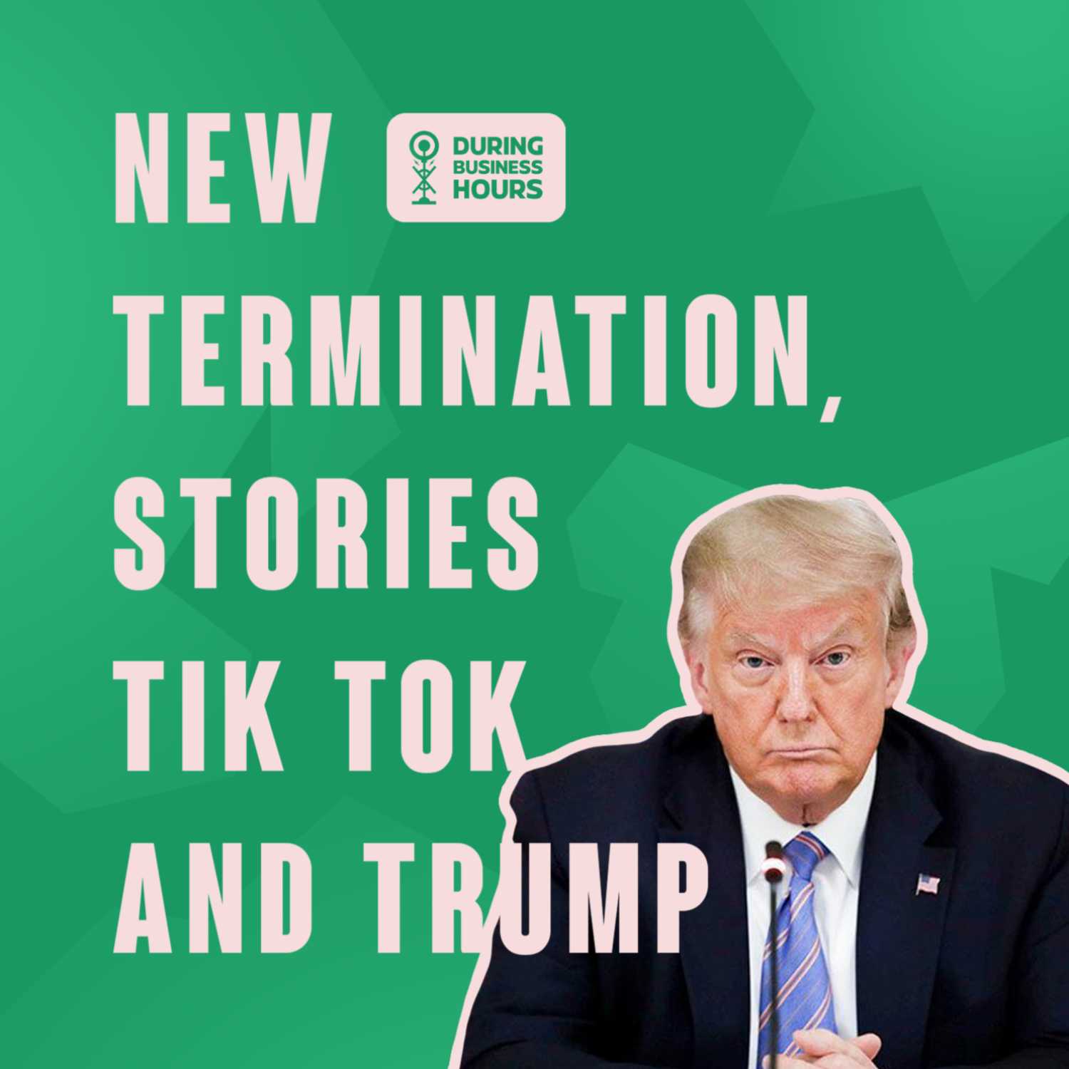 Ep 45. Termination, Stories tiktok and Trump