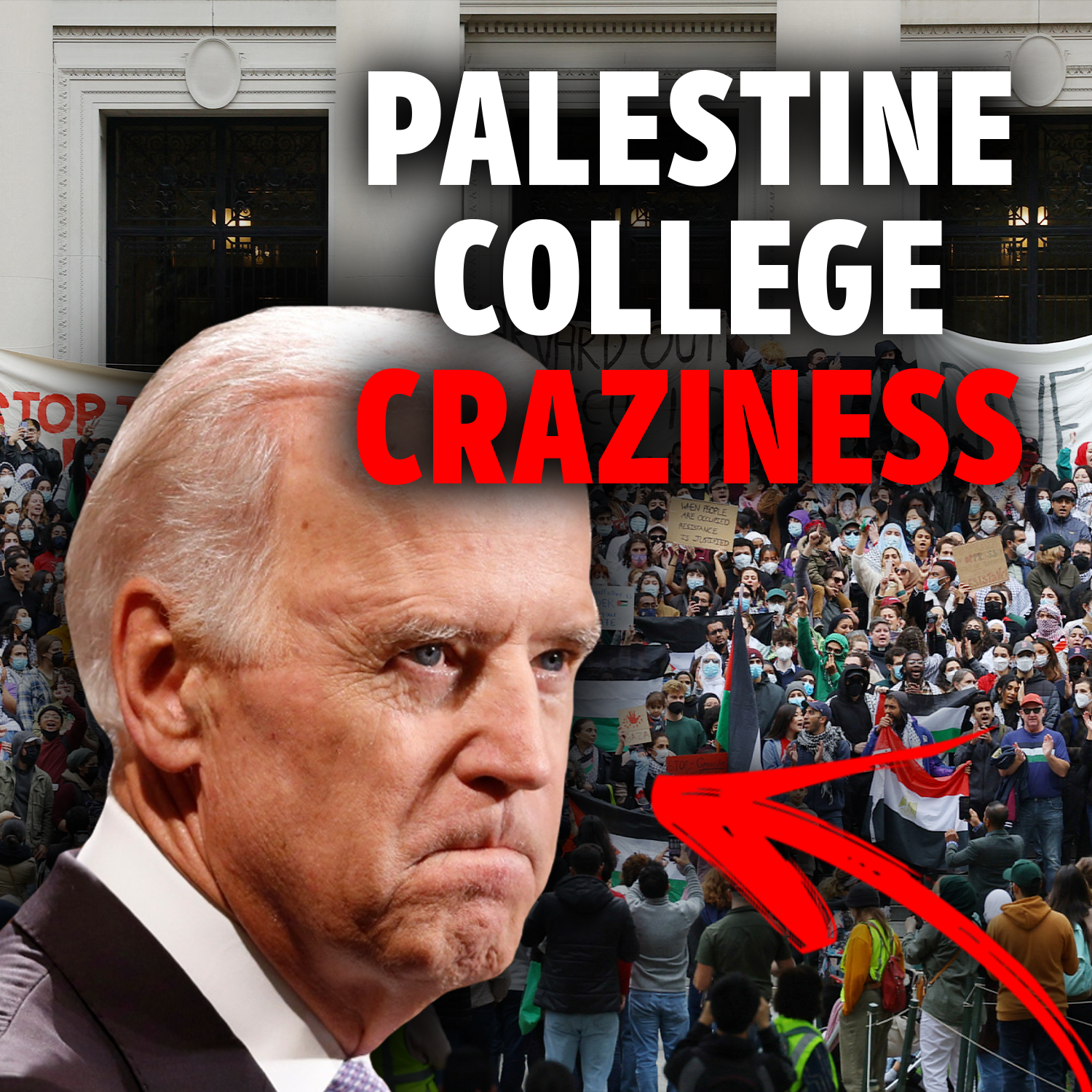 Pro Palestine College Craziness