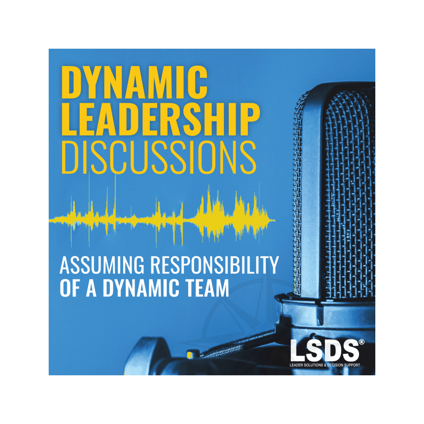 Dynamic Leadership: Assuming Responsibility of a Dynamic Team
