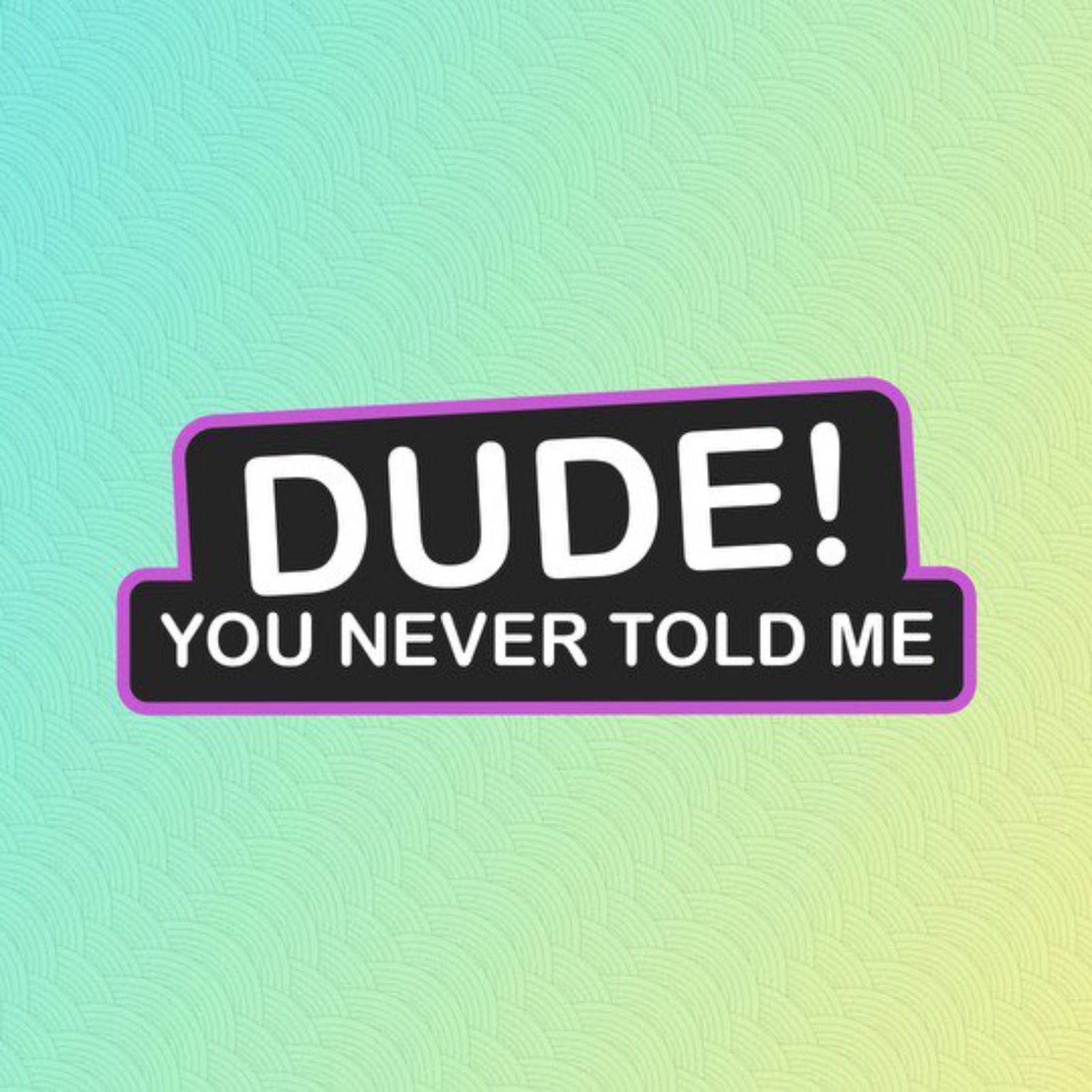 Dude! You Never Told Me