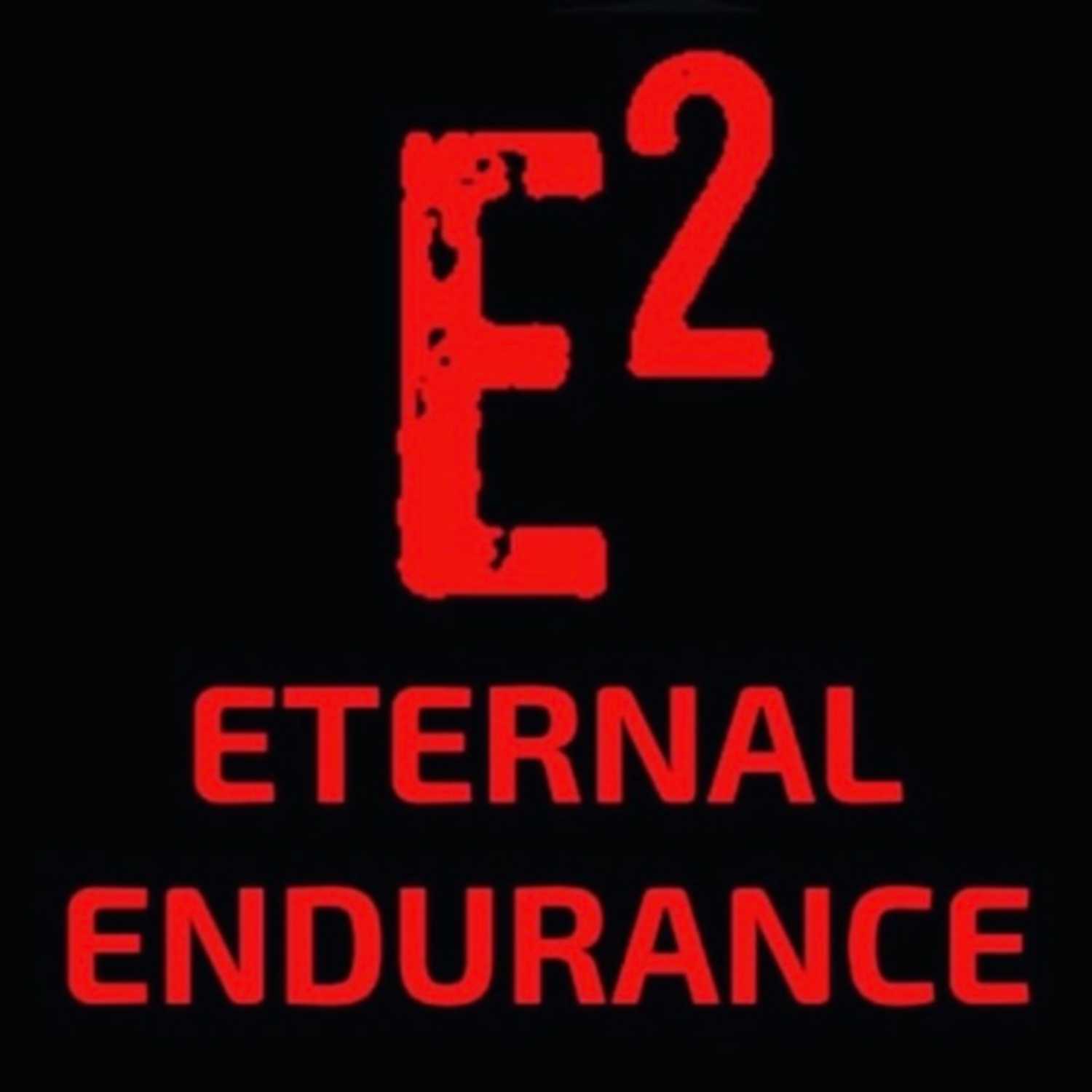 The E2 Experiment