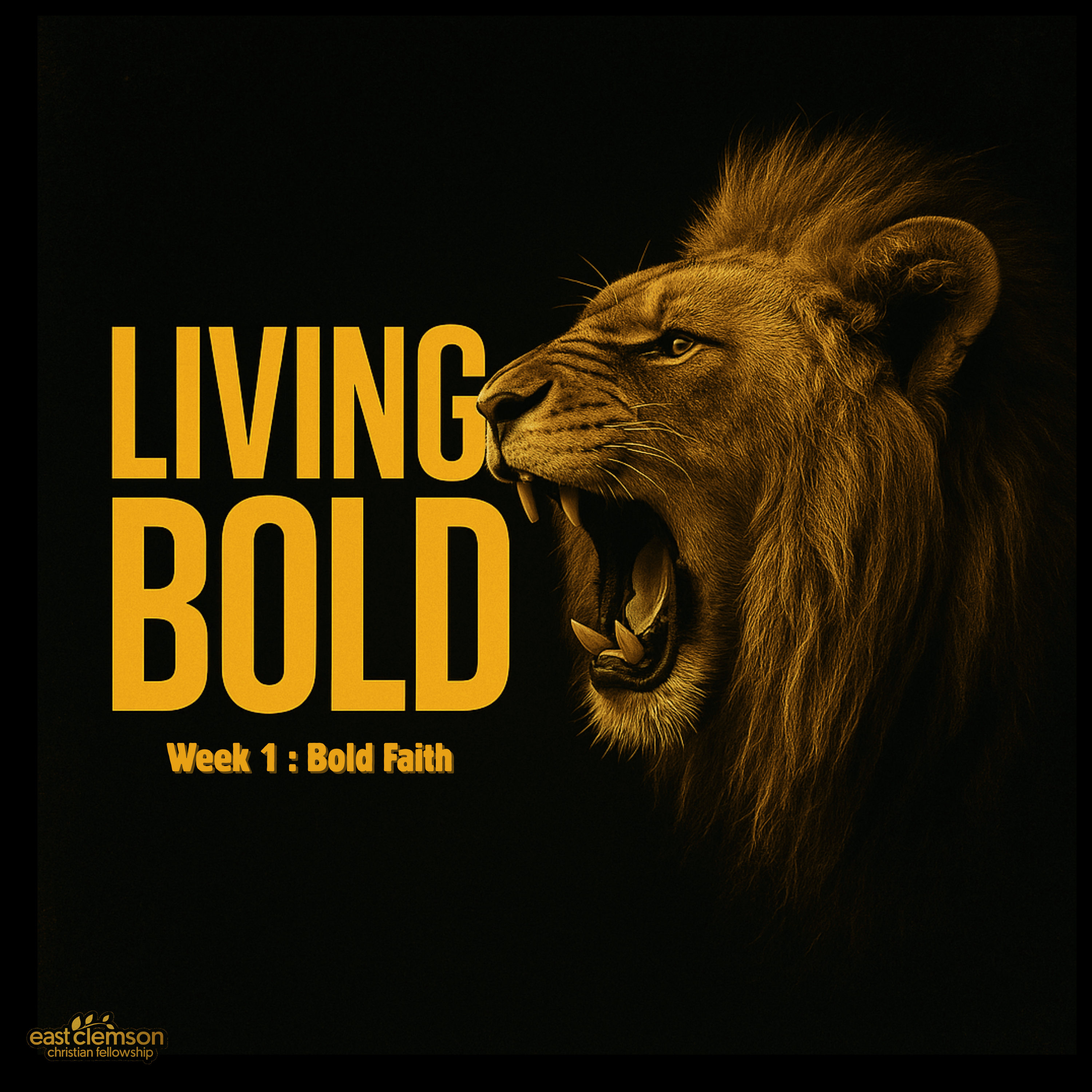 East Clemson Christian Fellowship