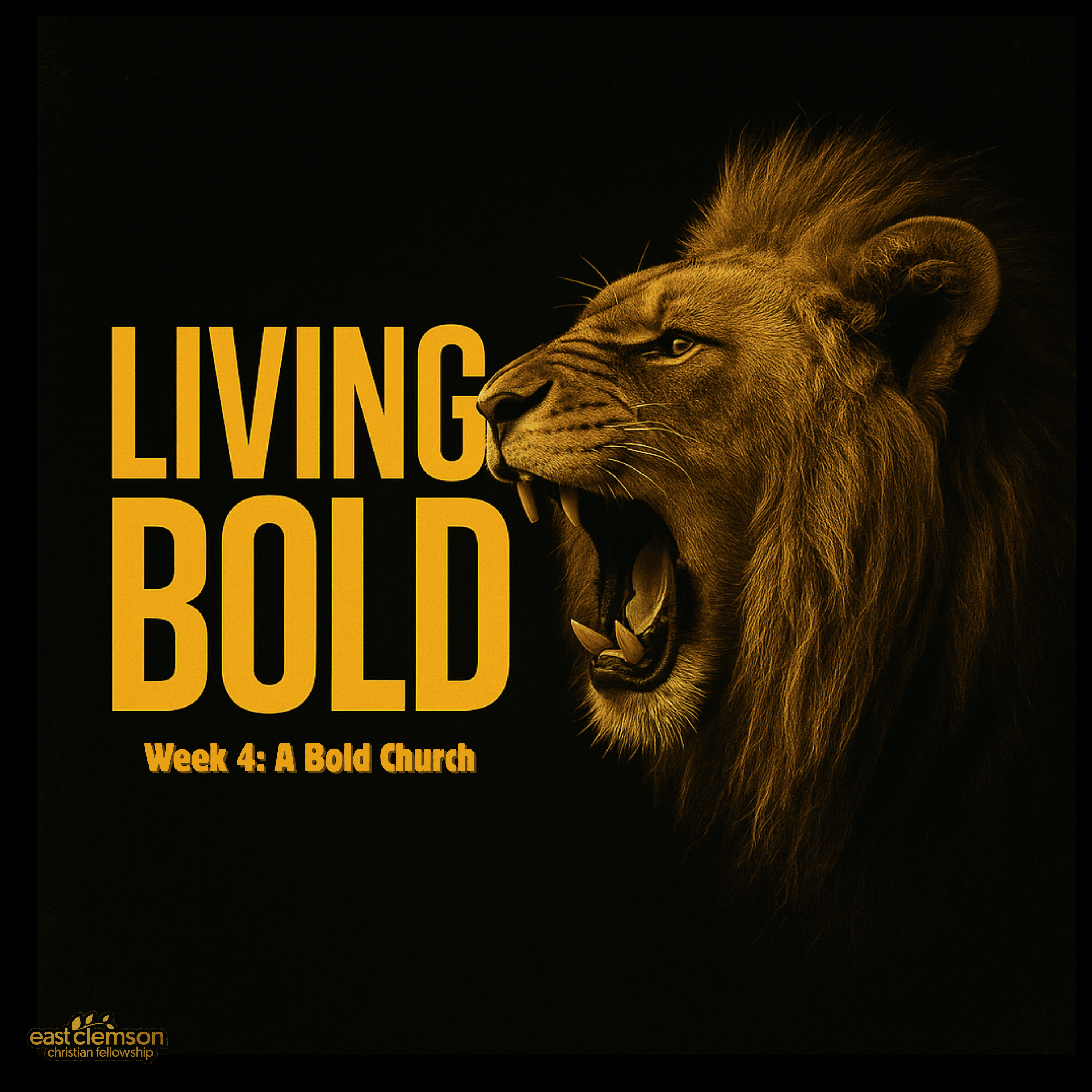 East Clemson Christian Fellowship