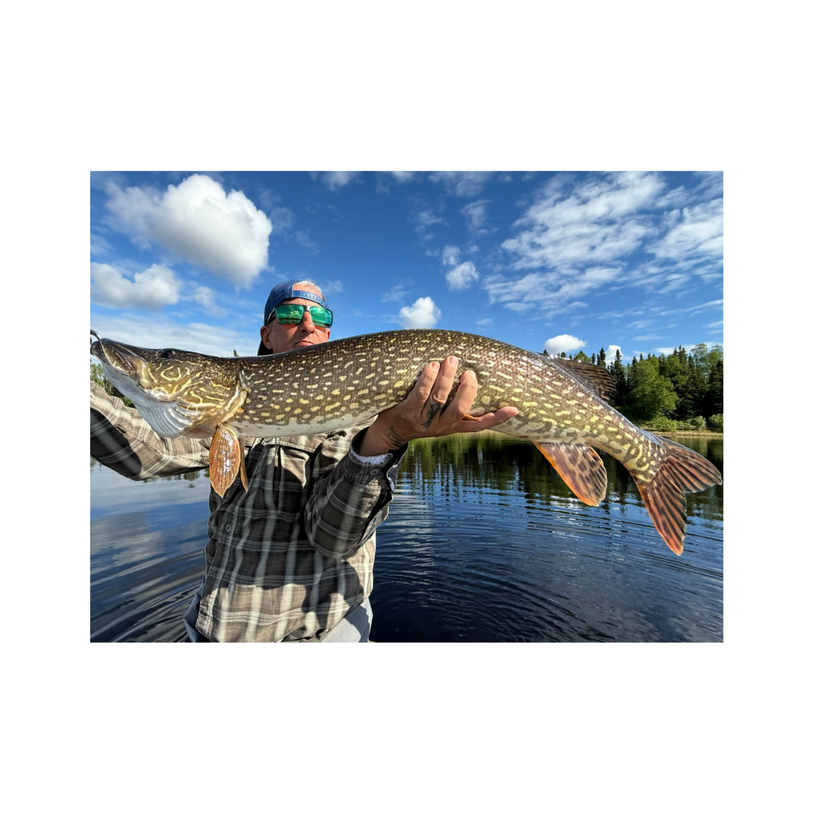 The Foul Hooked Whitey returns with the rant; “Fly Fishing in AK with the Macho Man” Part Two... episode artwork