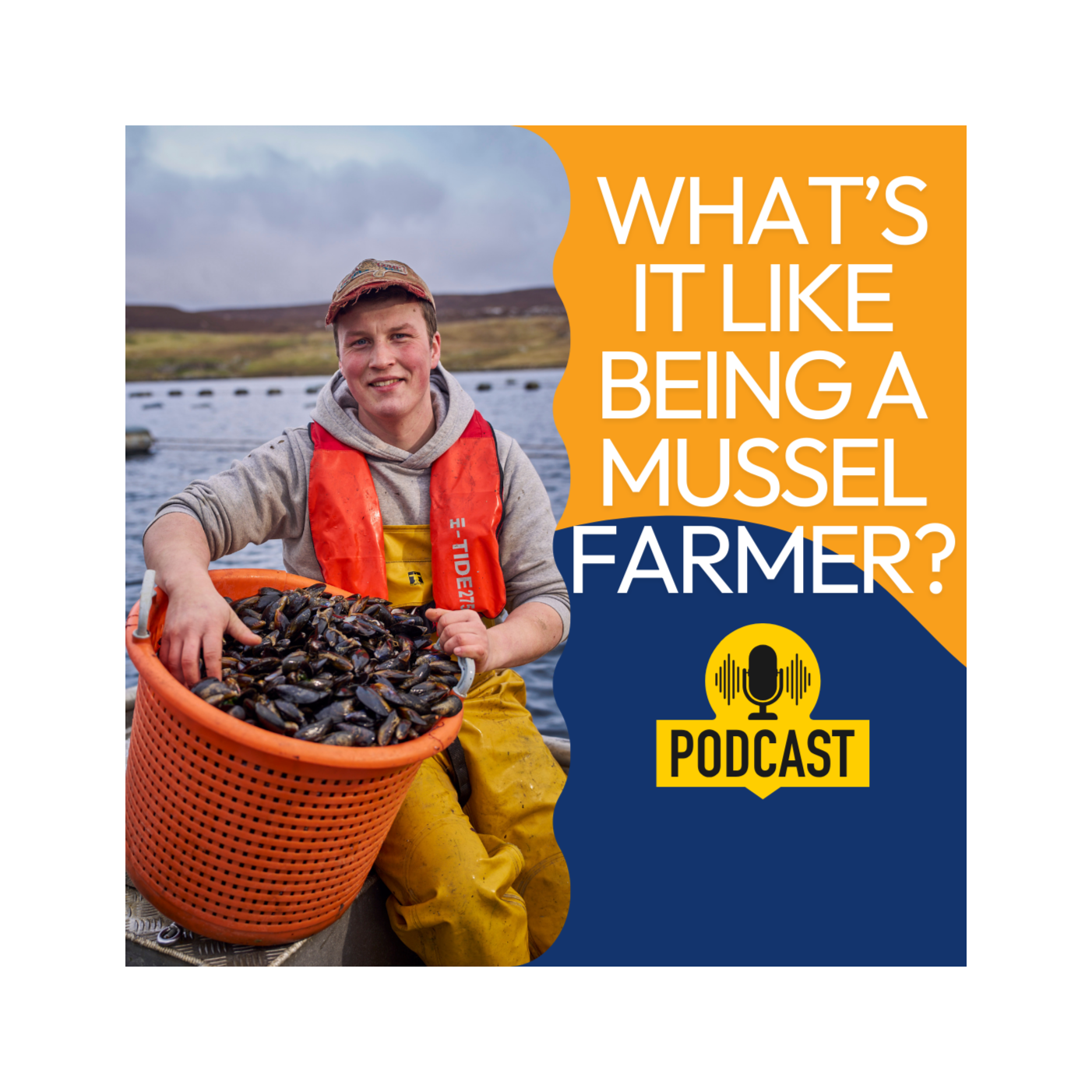 What's it like being a mussel farmer? episode artwork