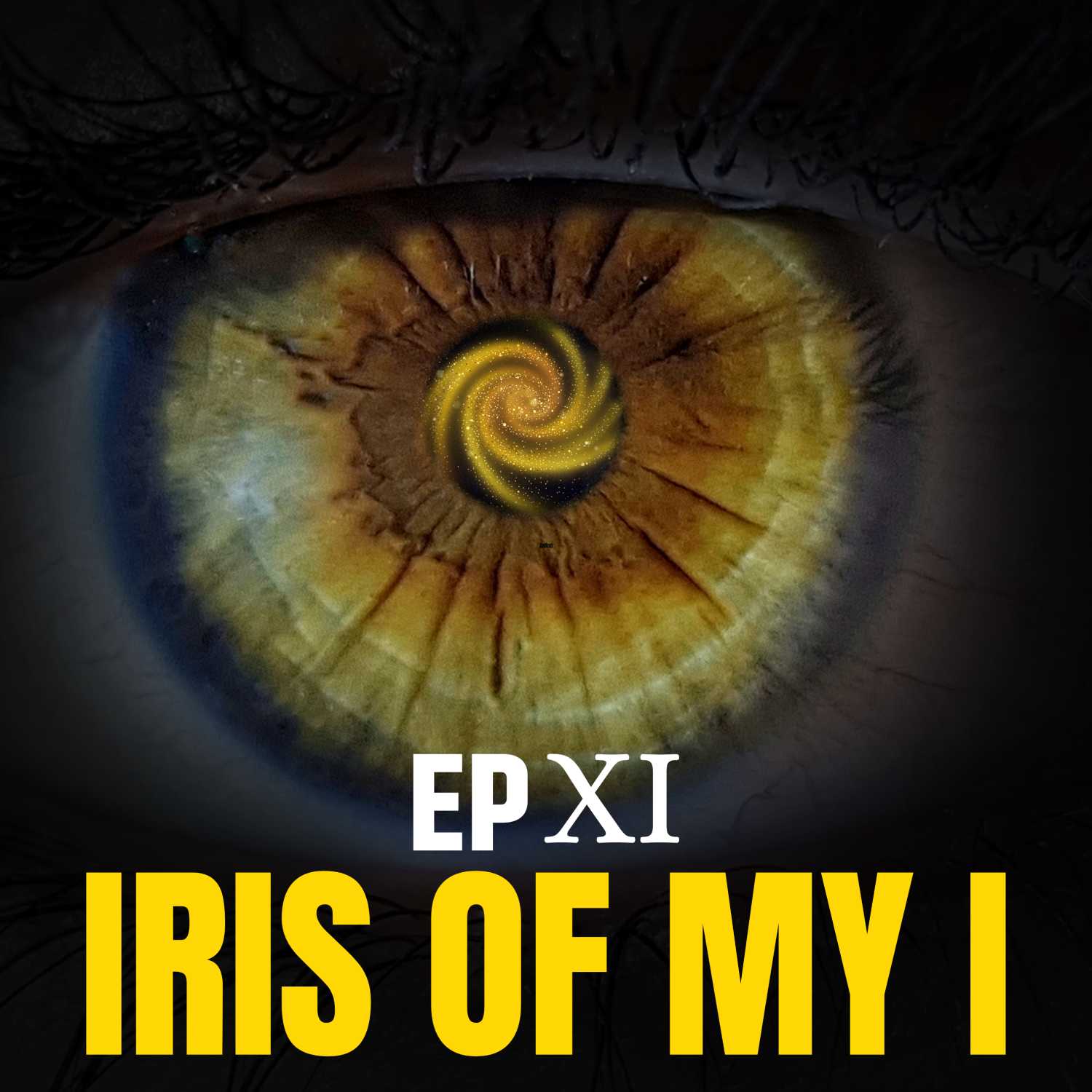 Iris of my I