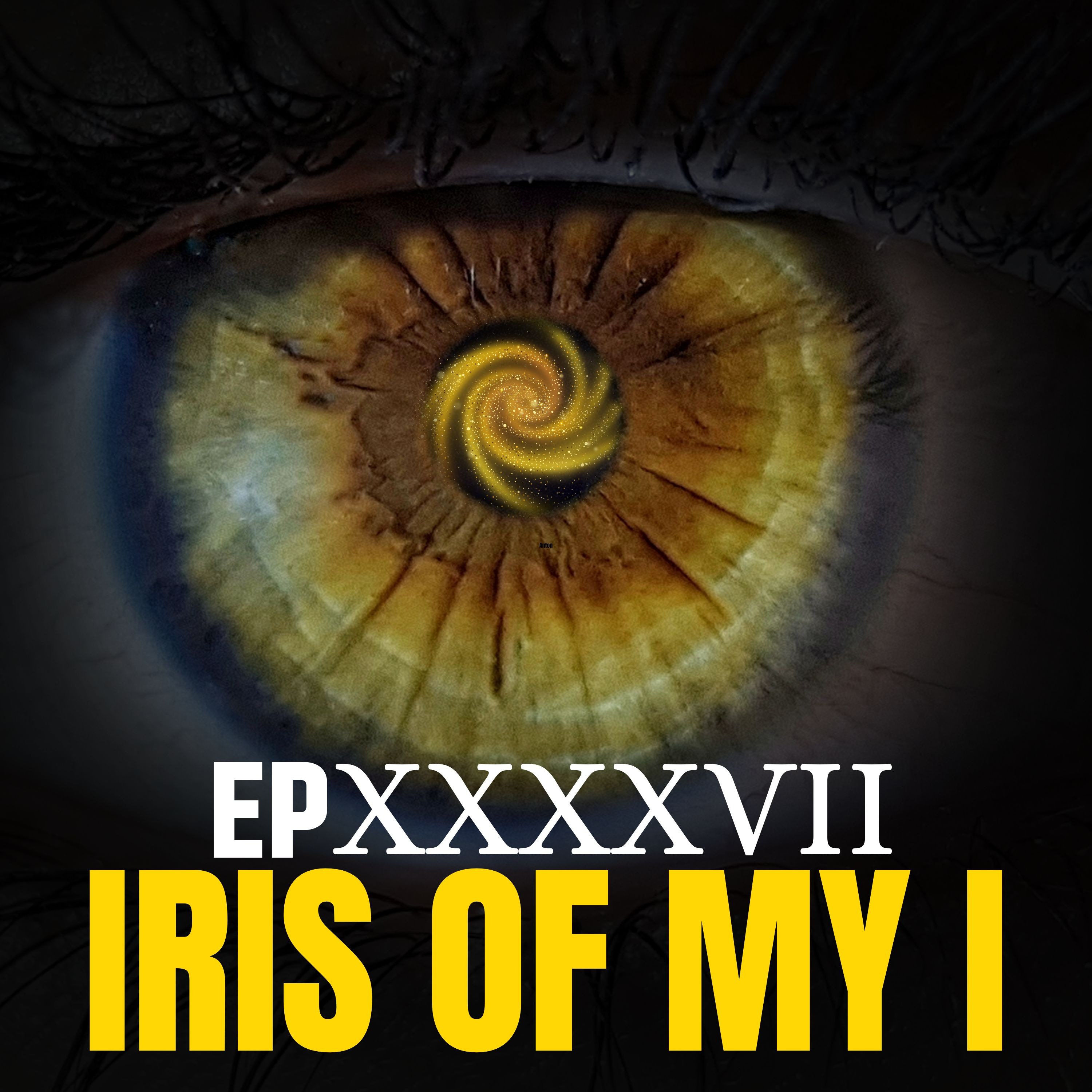 Iris of my I
