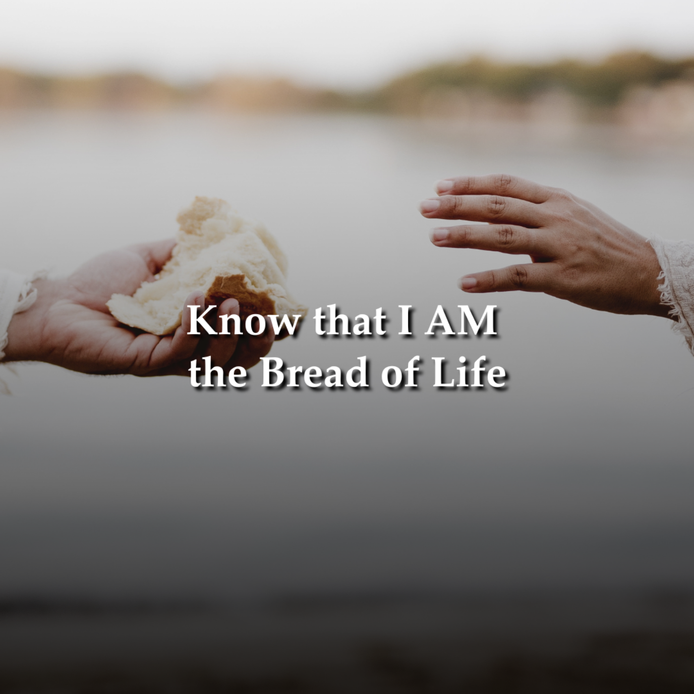 Know that I AM Part 1 - the Bread of Life | Pastor Phil Holcomb episode artwork