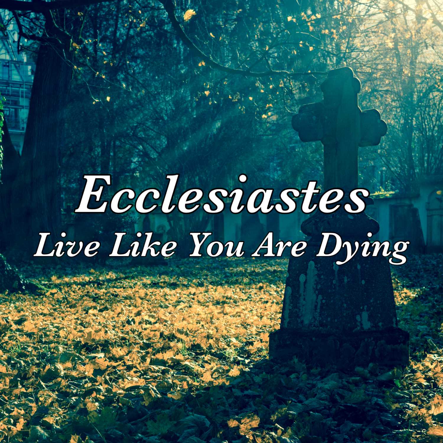 Marion Presbyterian Church