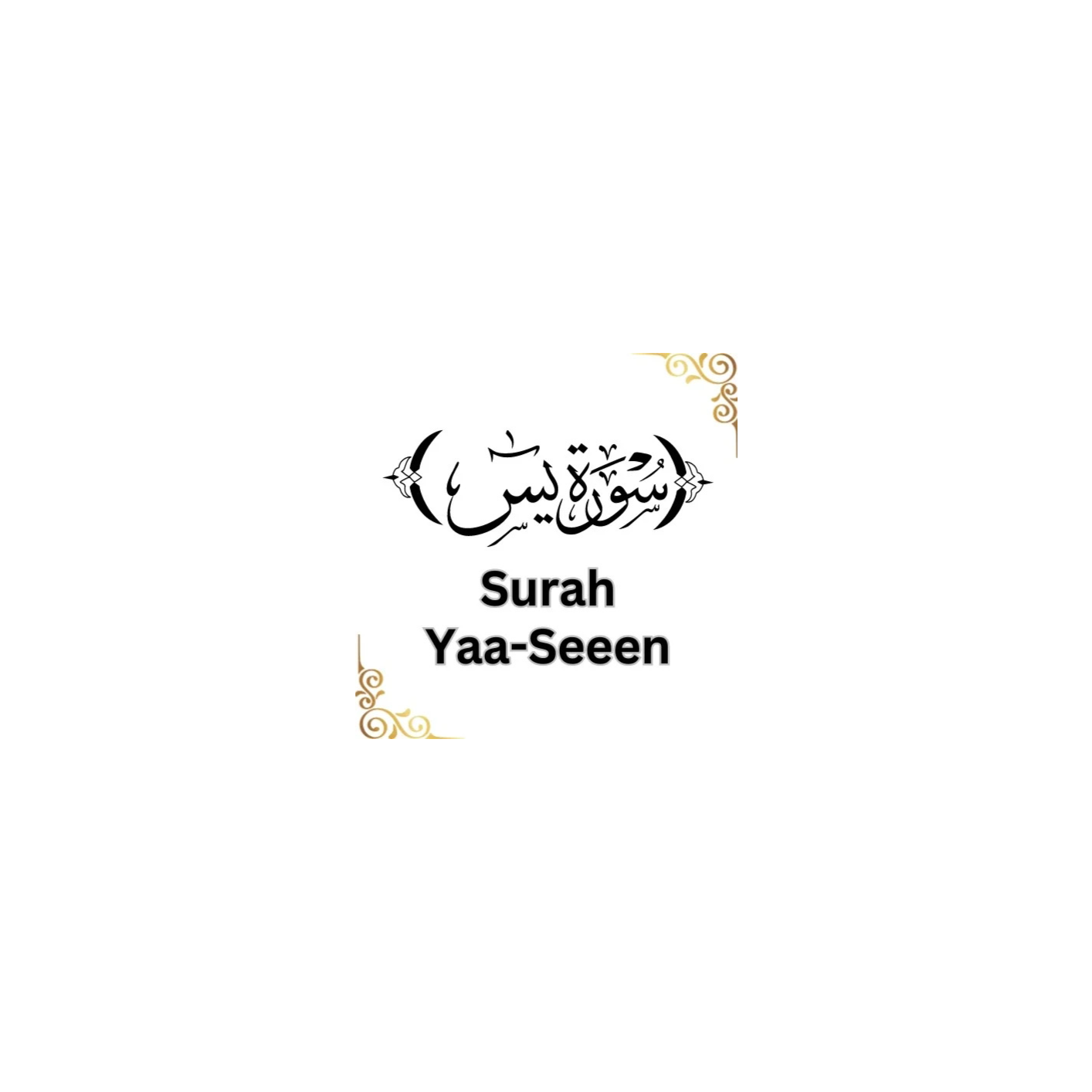 Echoes of Surah Yaseen : A soulful recitation and reflection