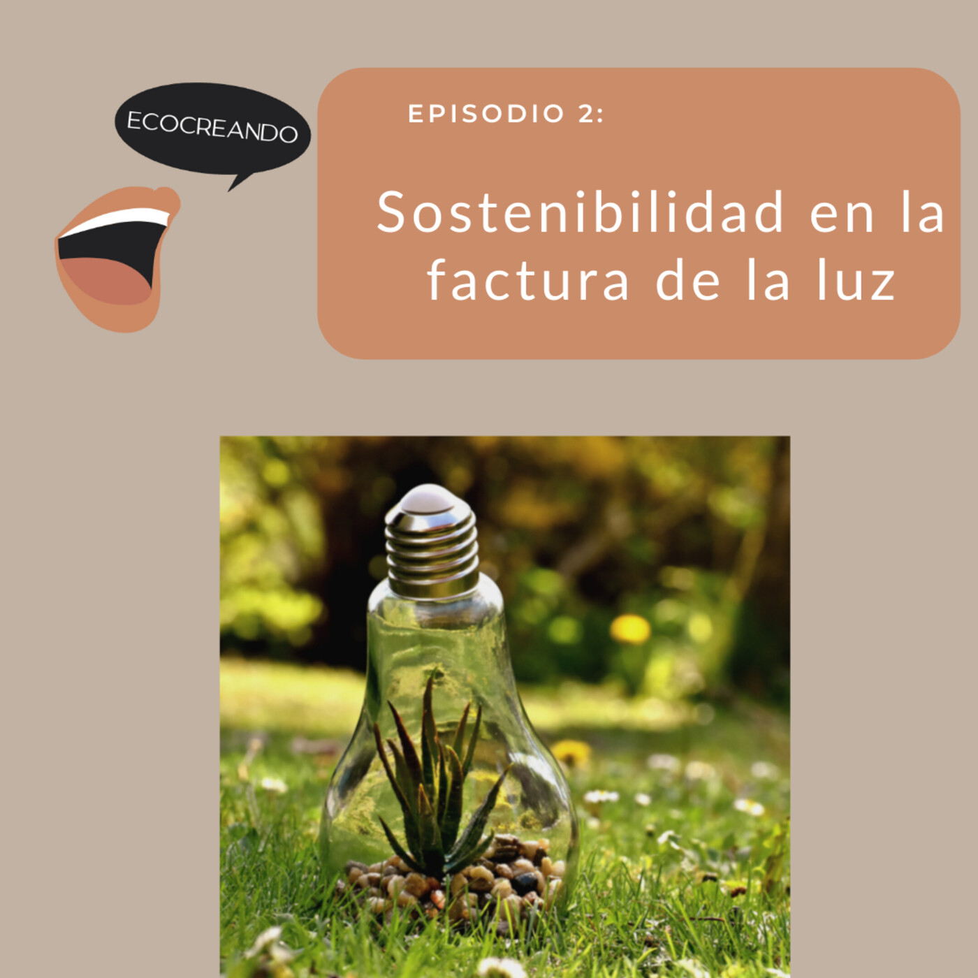 Ecocreando