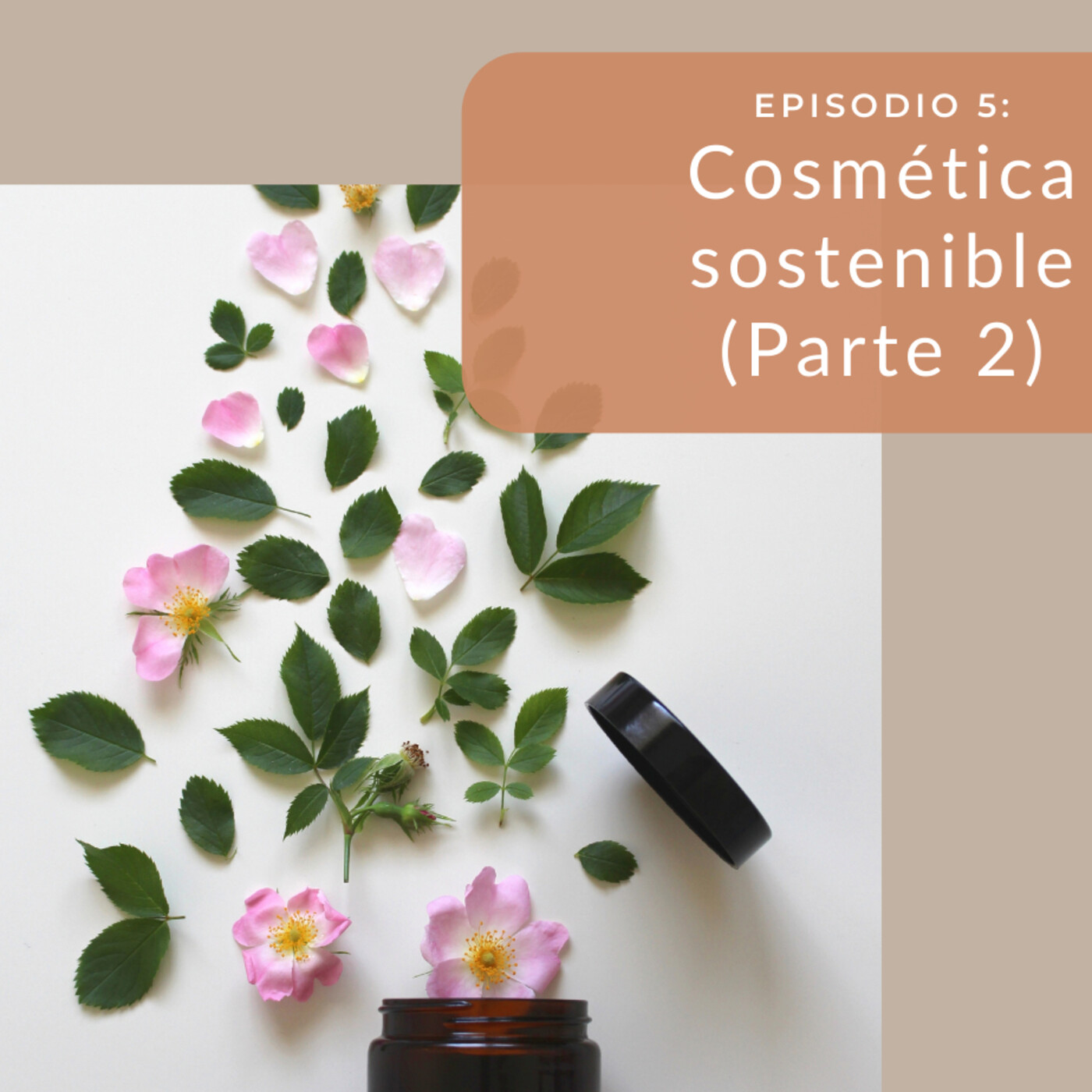 Ecocreando