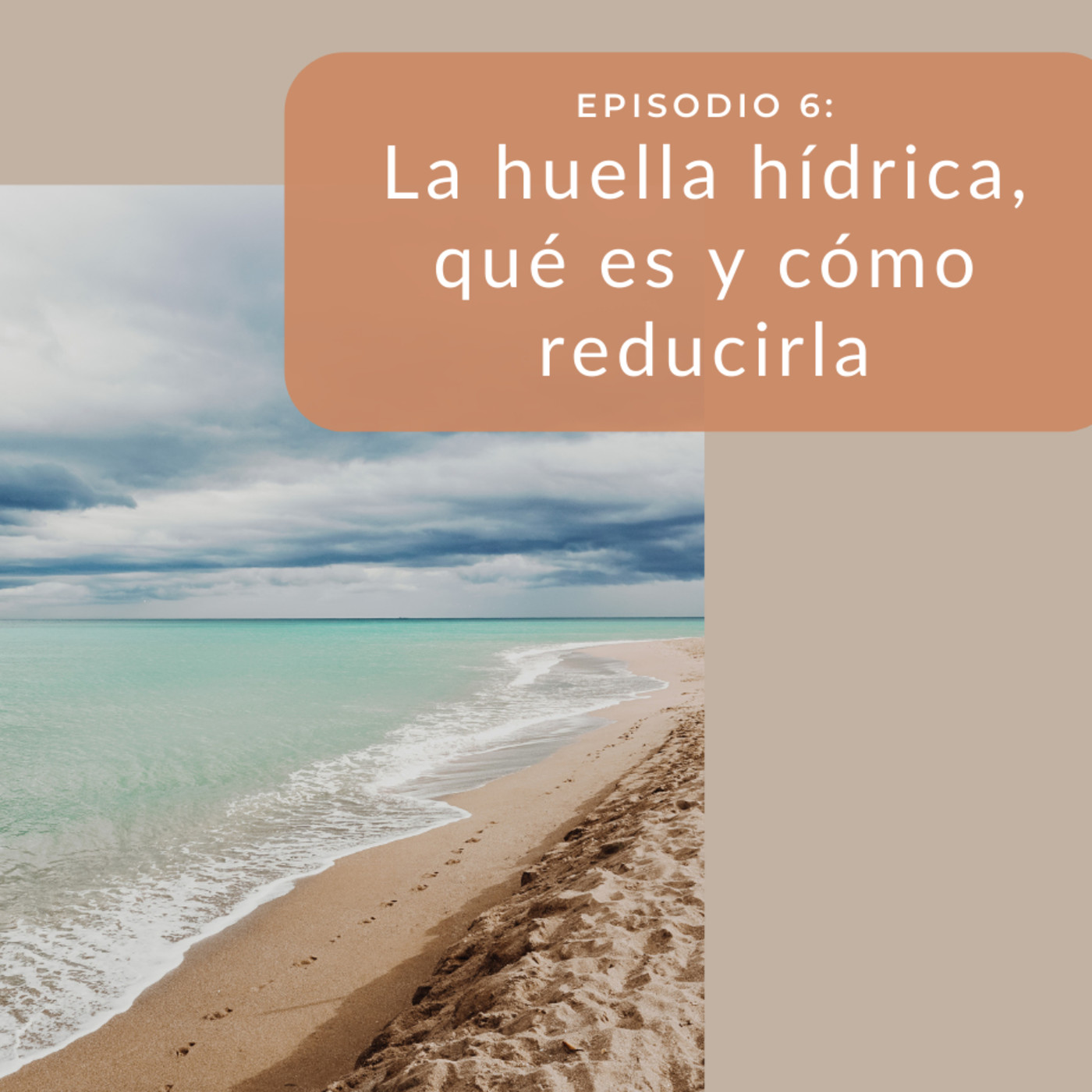 Ecocreando