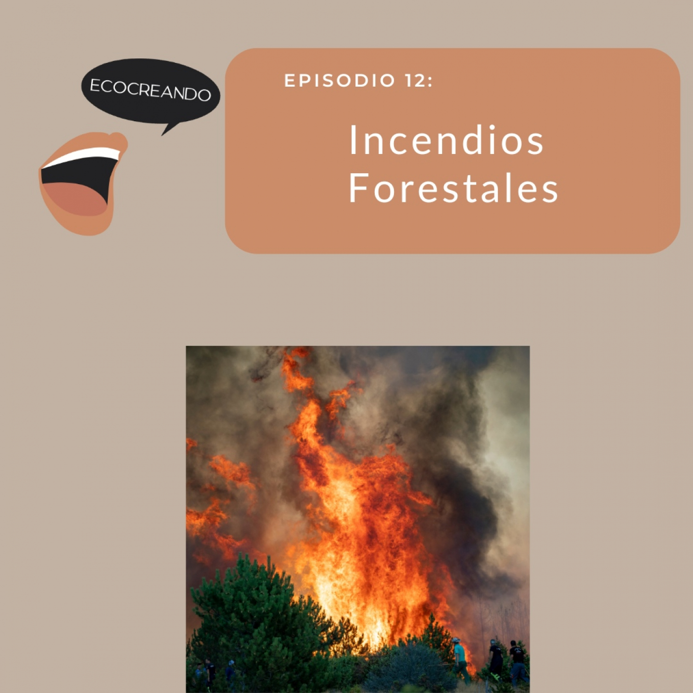 Ecocreando