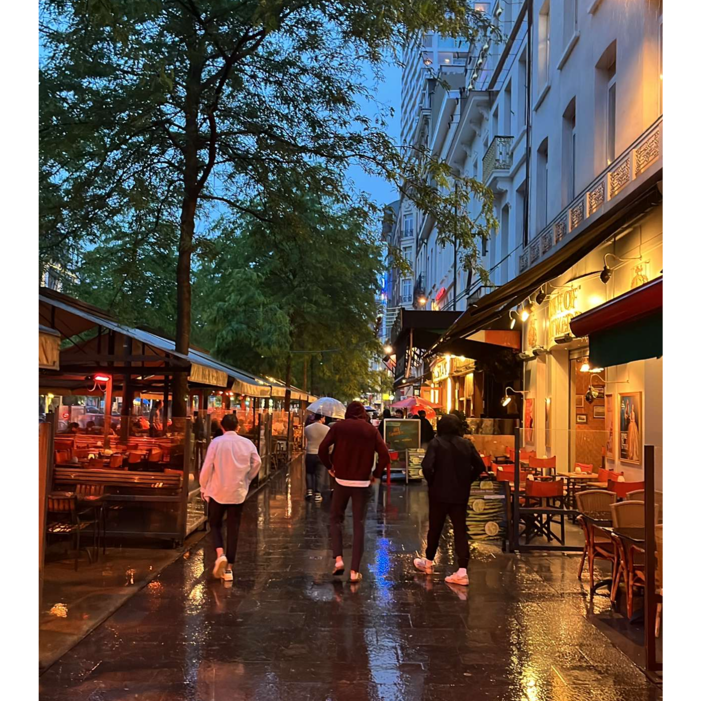 Ecology and Vocation - CORE 4929