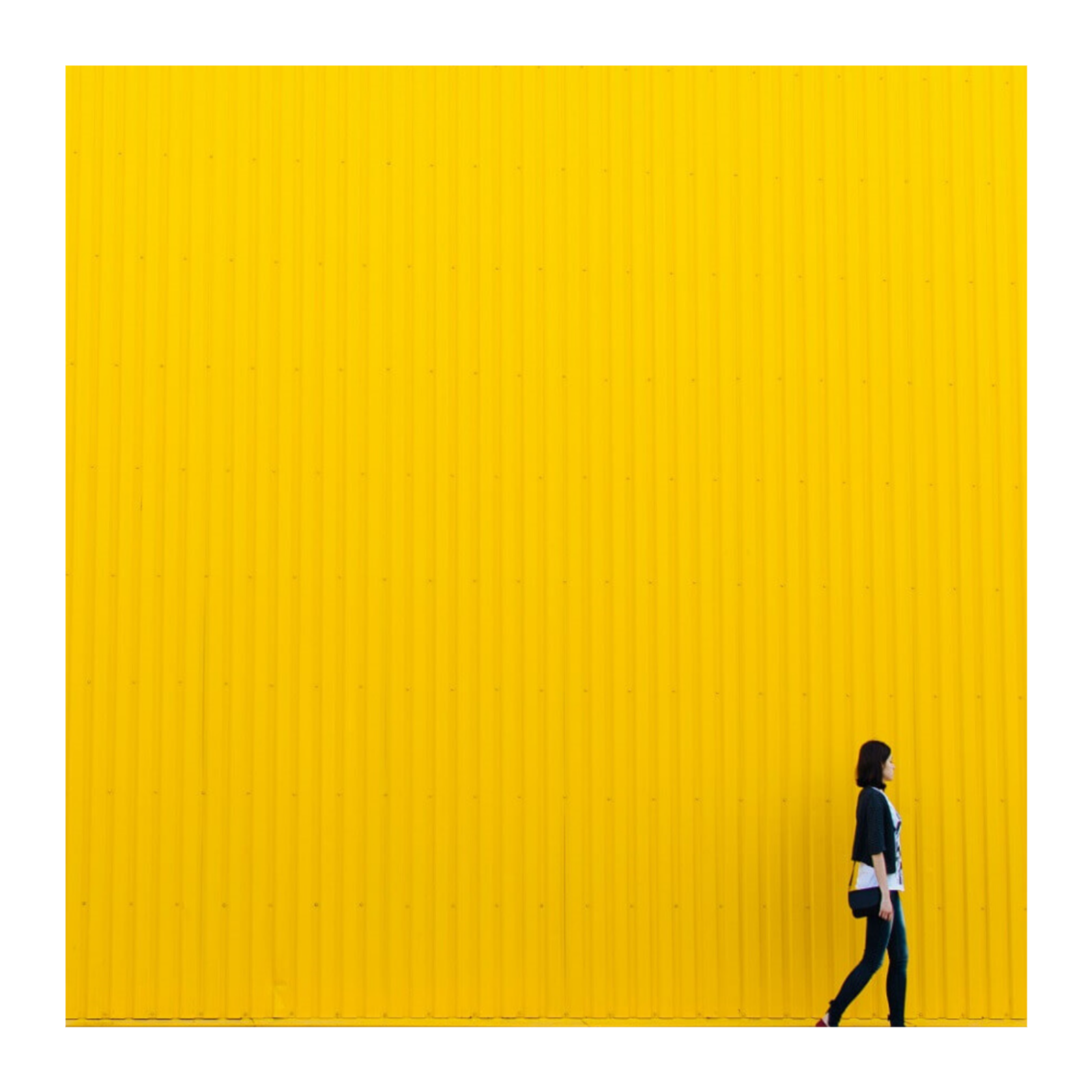 EcoSEO Podcast