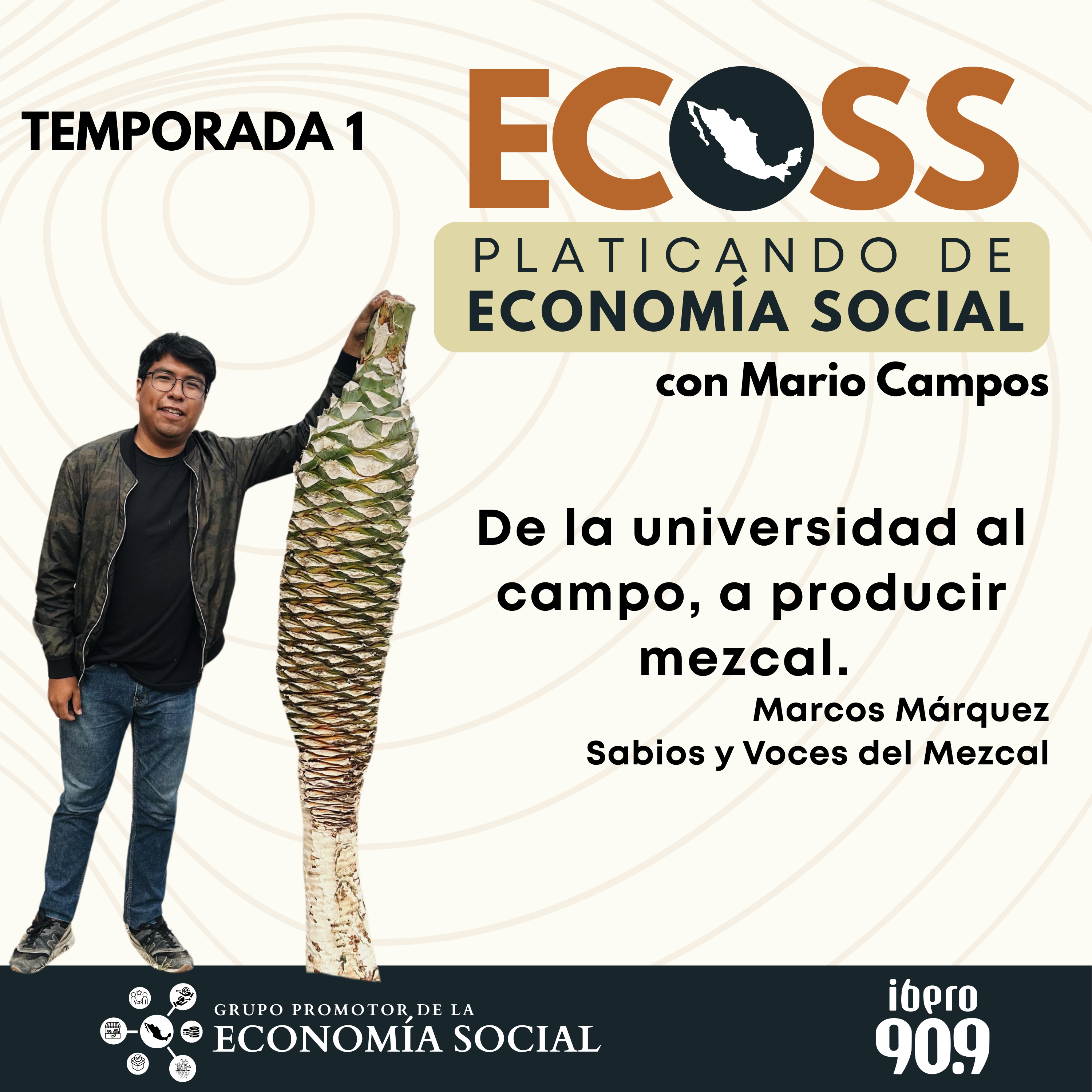 ECOSS: Platicando de economía social