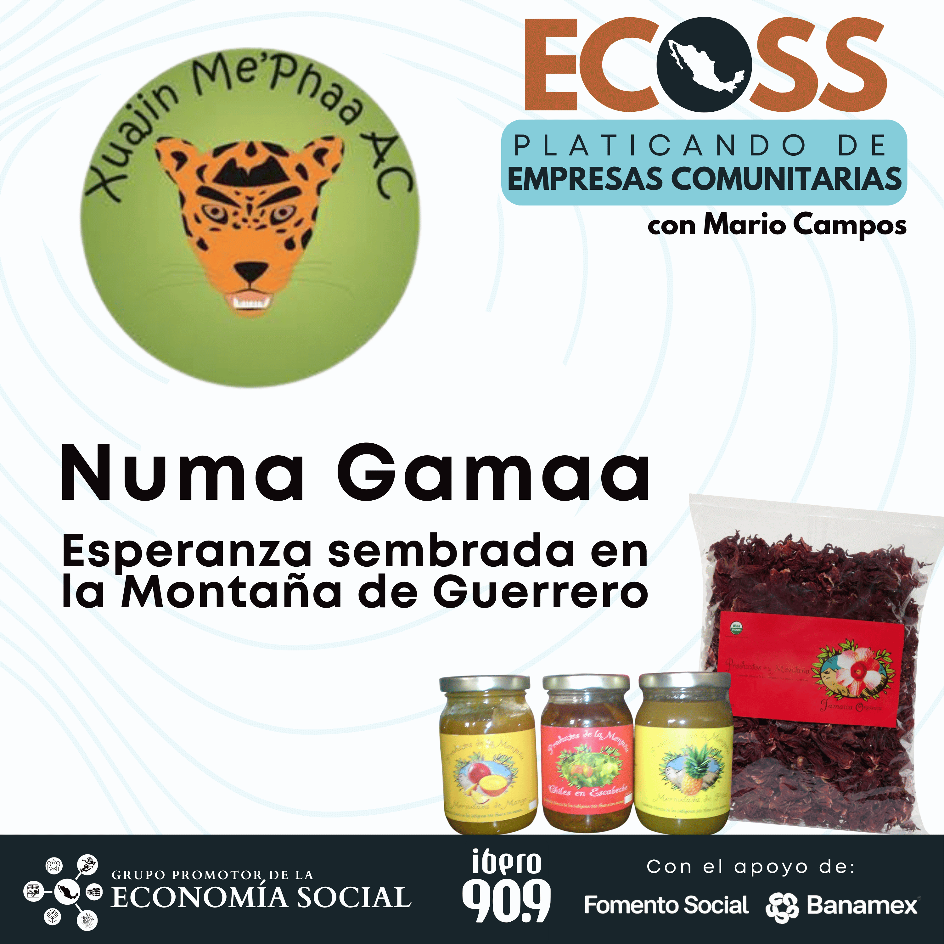 Numa Gamaa: esperanza sembrada en la Montaña de Guerrero episode artwork