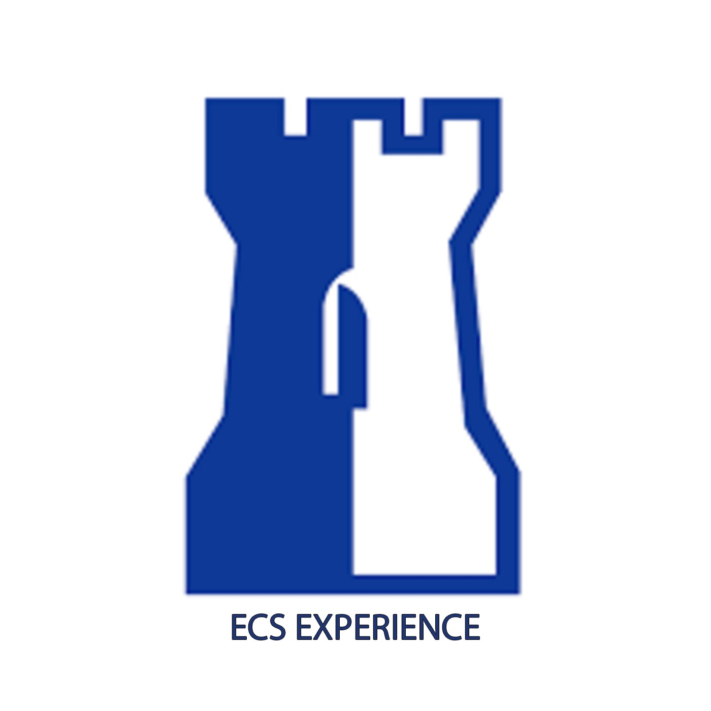 ECS EXPERIENCE