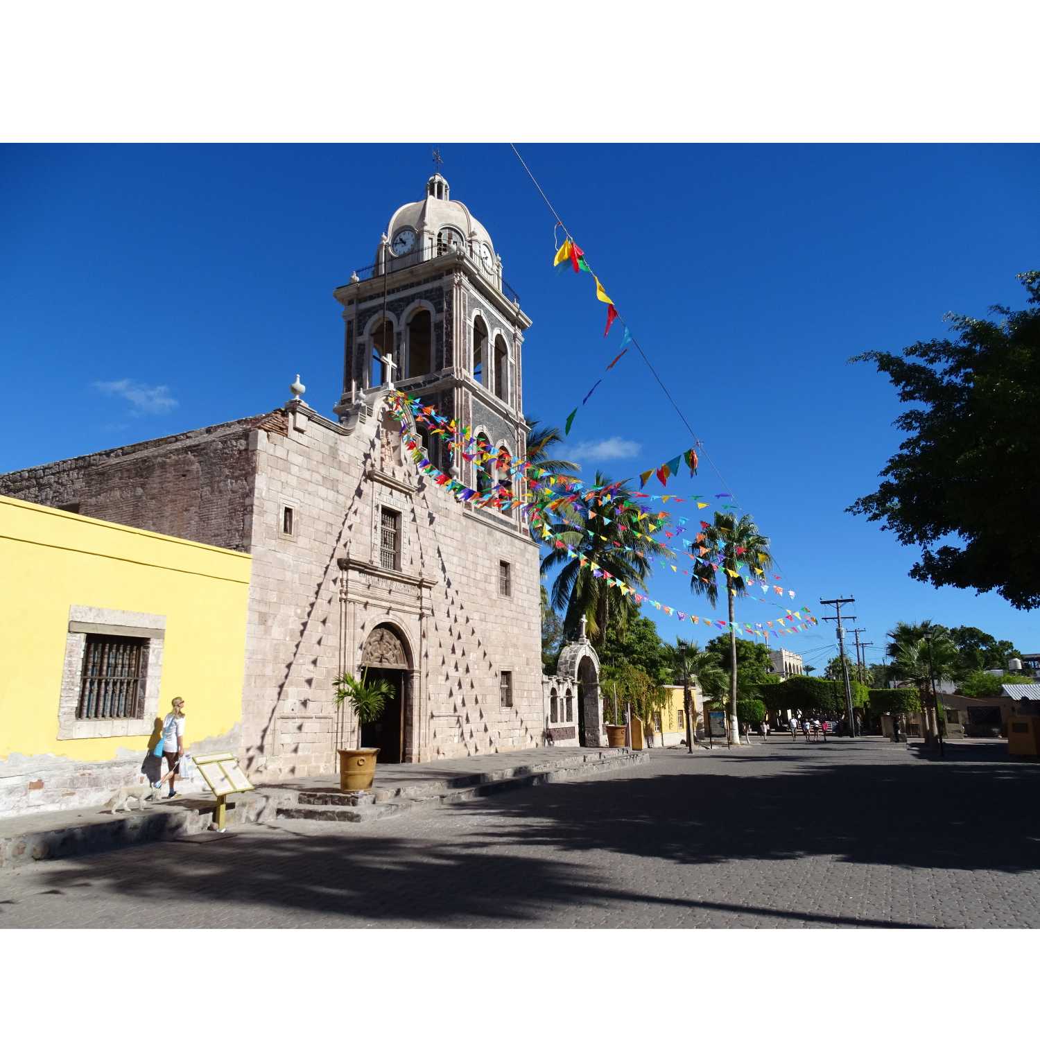 El Cardón Umbilical