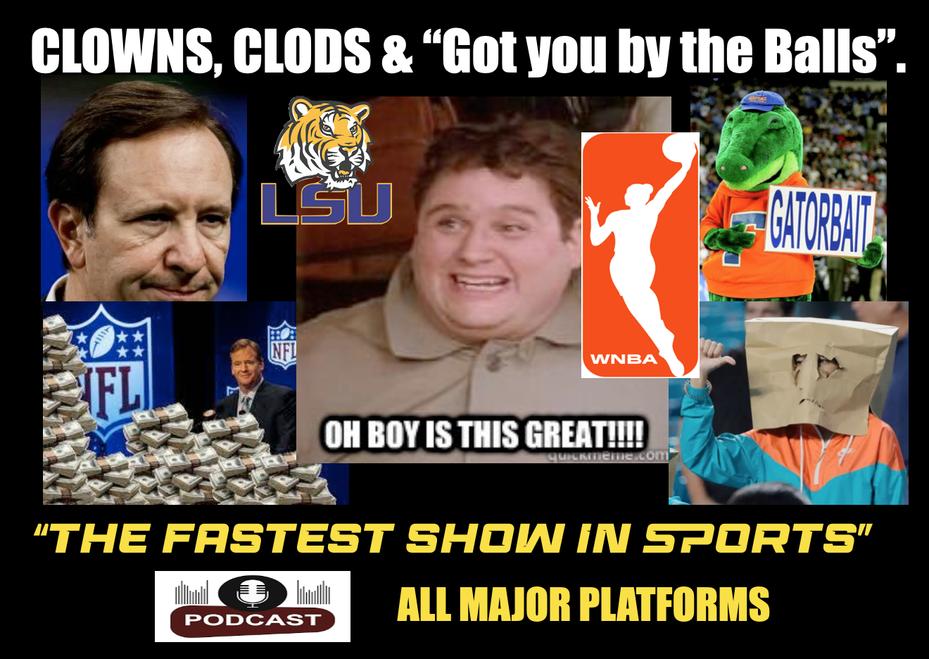 THE STUPID EPISODE: LSU's Laugh Track, NBA knuckleheads, suckered NFL Fans & Dolphins dumpster fire. episode artwork