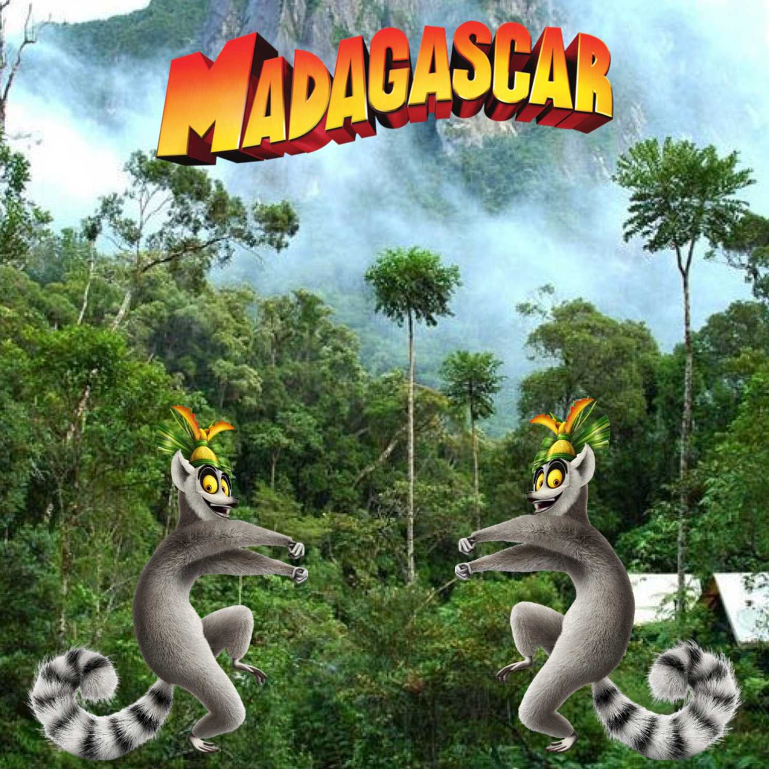 Madagascar