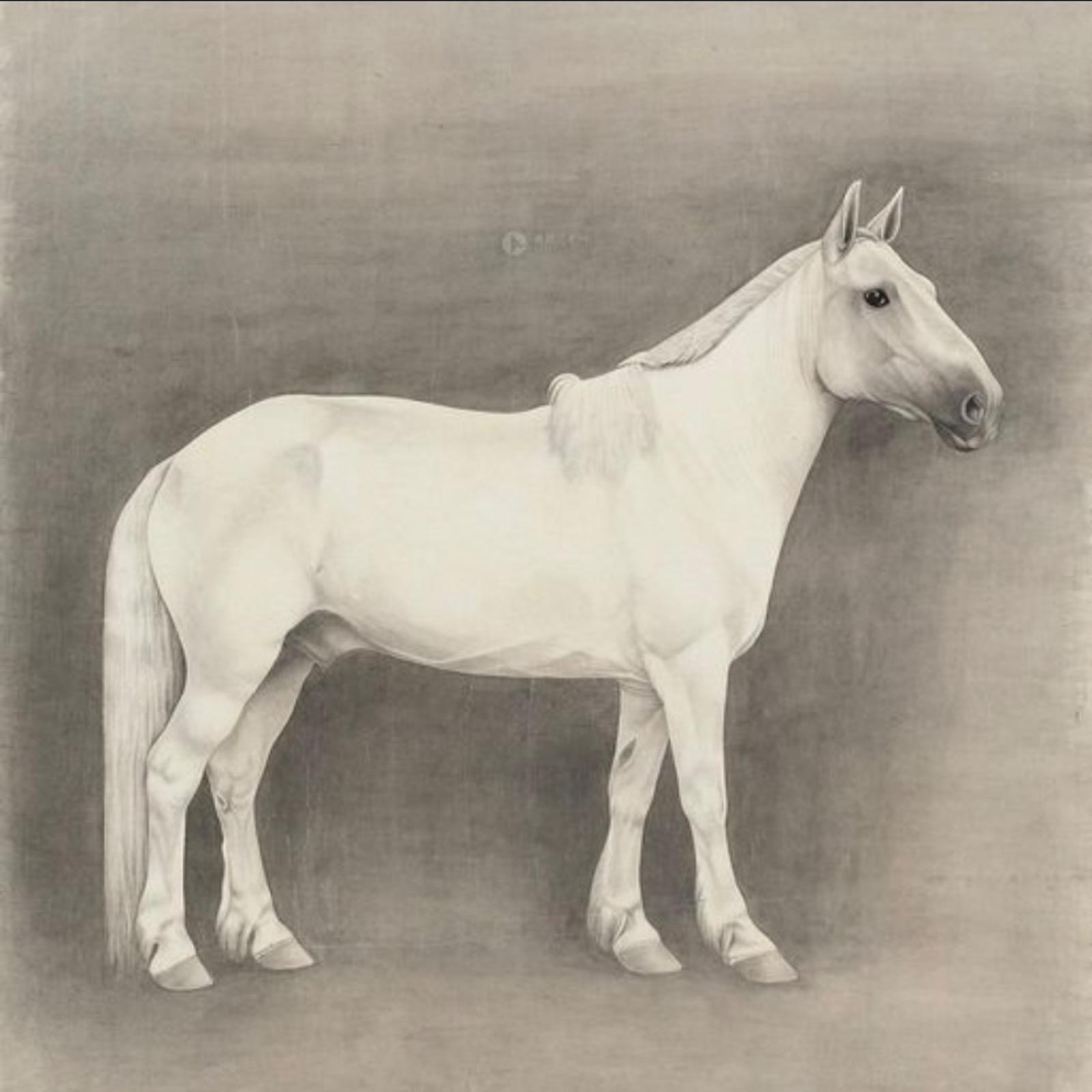 That night in which all horses are white, part 1: Confucius episode artwork