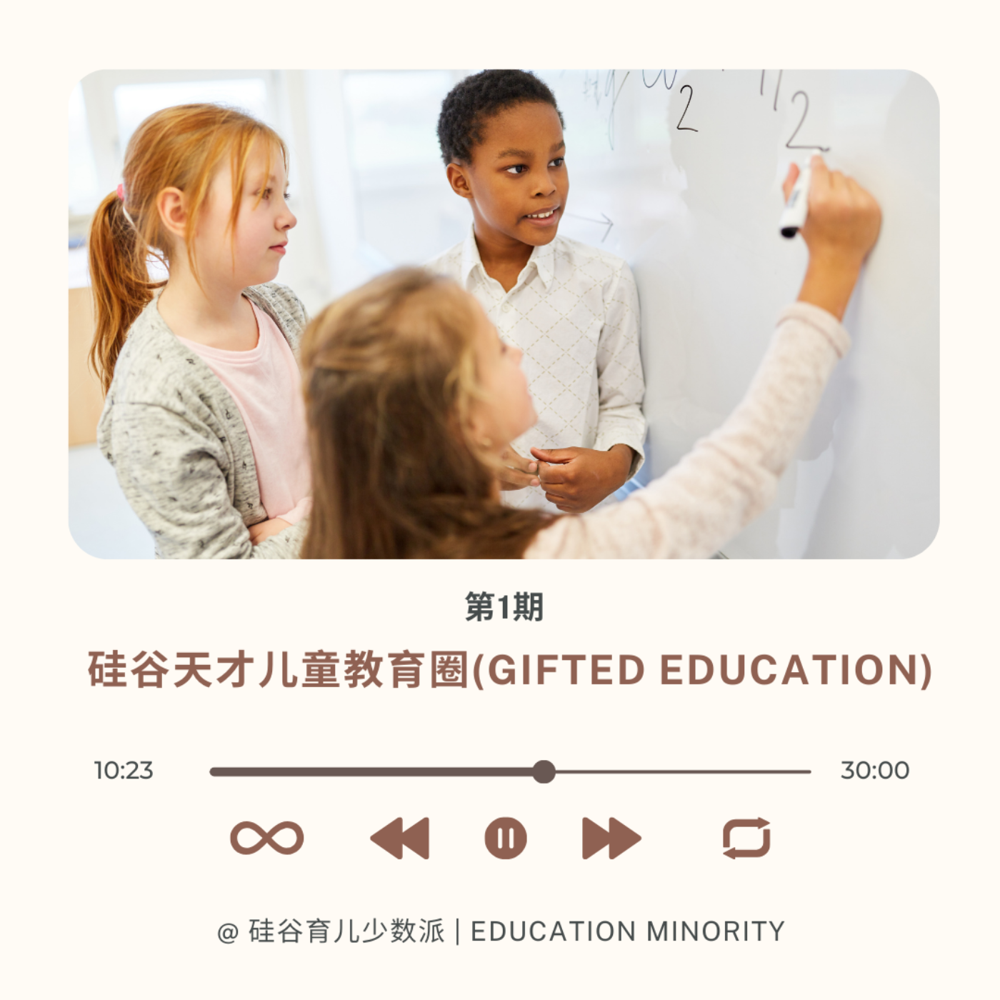 硅谷天才儿童教育圈(Gifted Education) - podcast episode cover