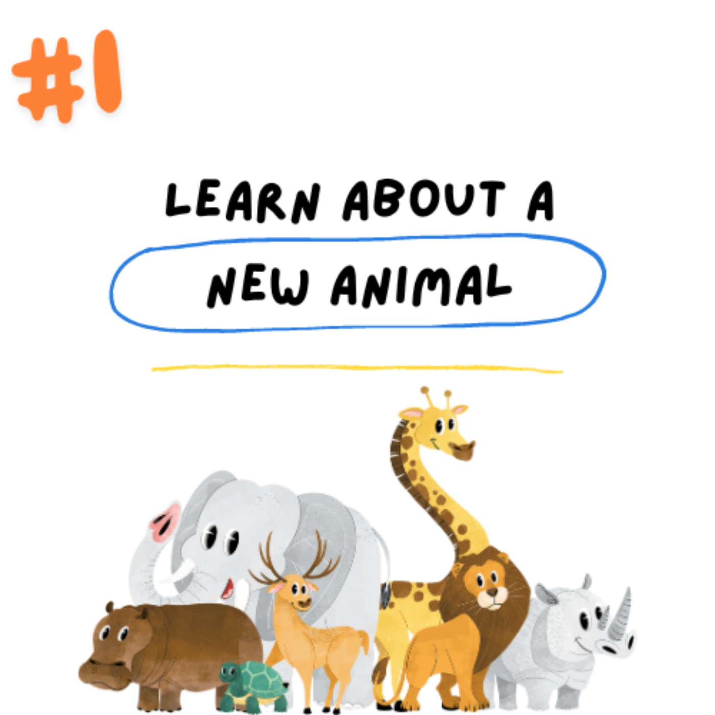 Learn about a new animal