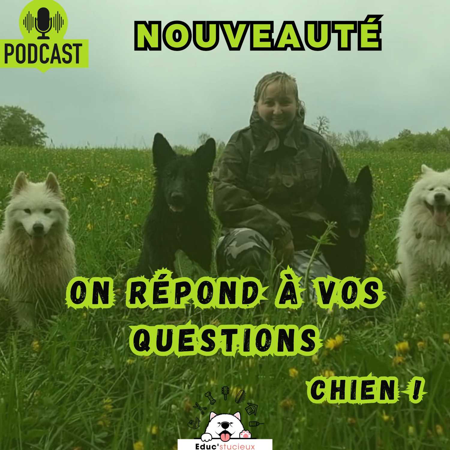 Les chiens - Cani Curieux - By Centre Canin Éduc\'stucieux