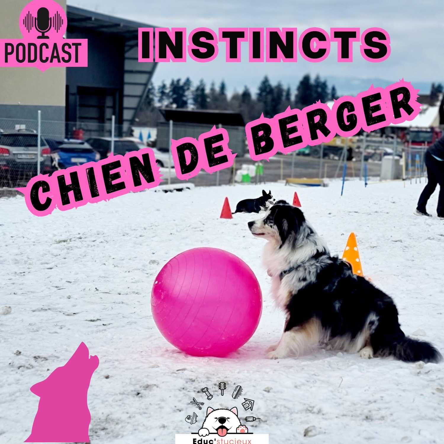Les chiens - Cani Curieux - By Centre Canin Éduc\'stucieux
