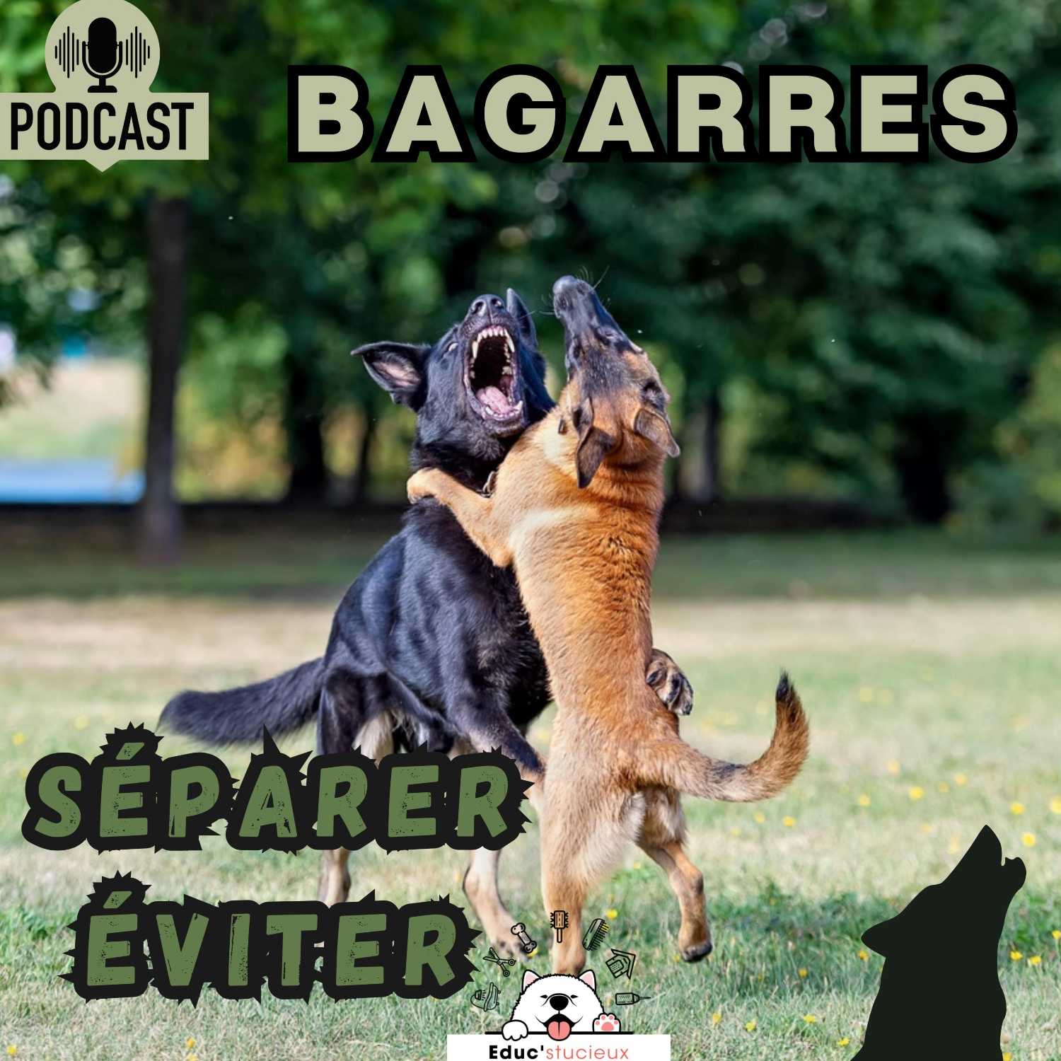 Les chiens - Cani Curieux - By Centre Canin Éduc\'stucieux