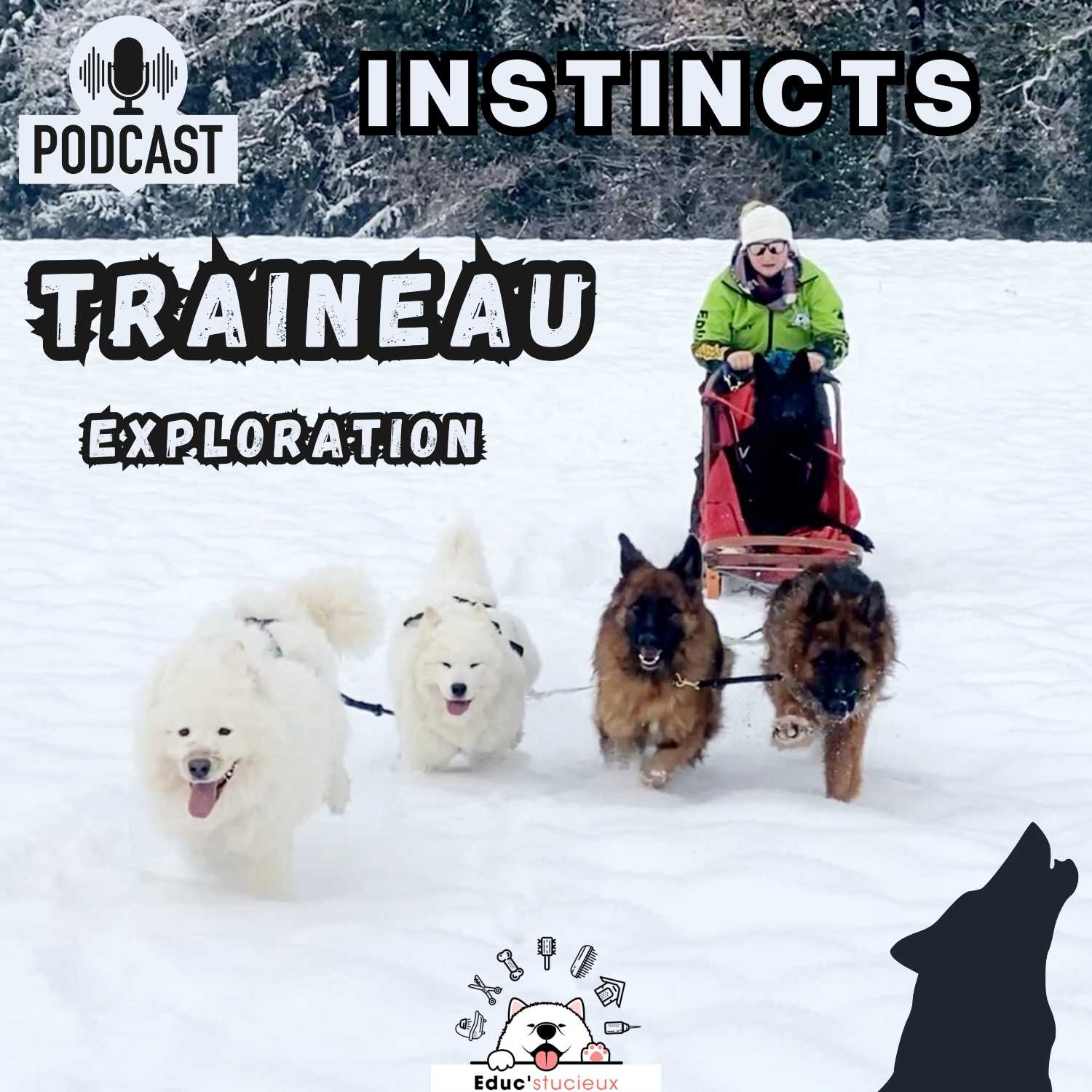 Les chiens - Cani Curieux - By Centre Canin Éduc\'stucieux