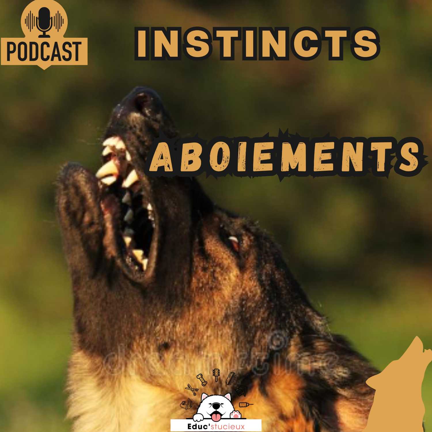 Les chiens - Cani Curieux - By Centre Canin Éduc\'stucieux