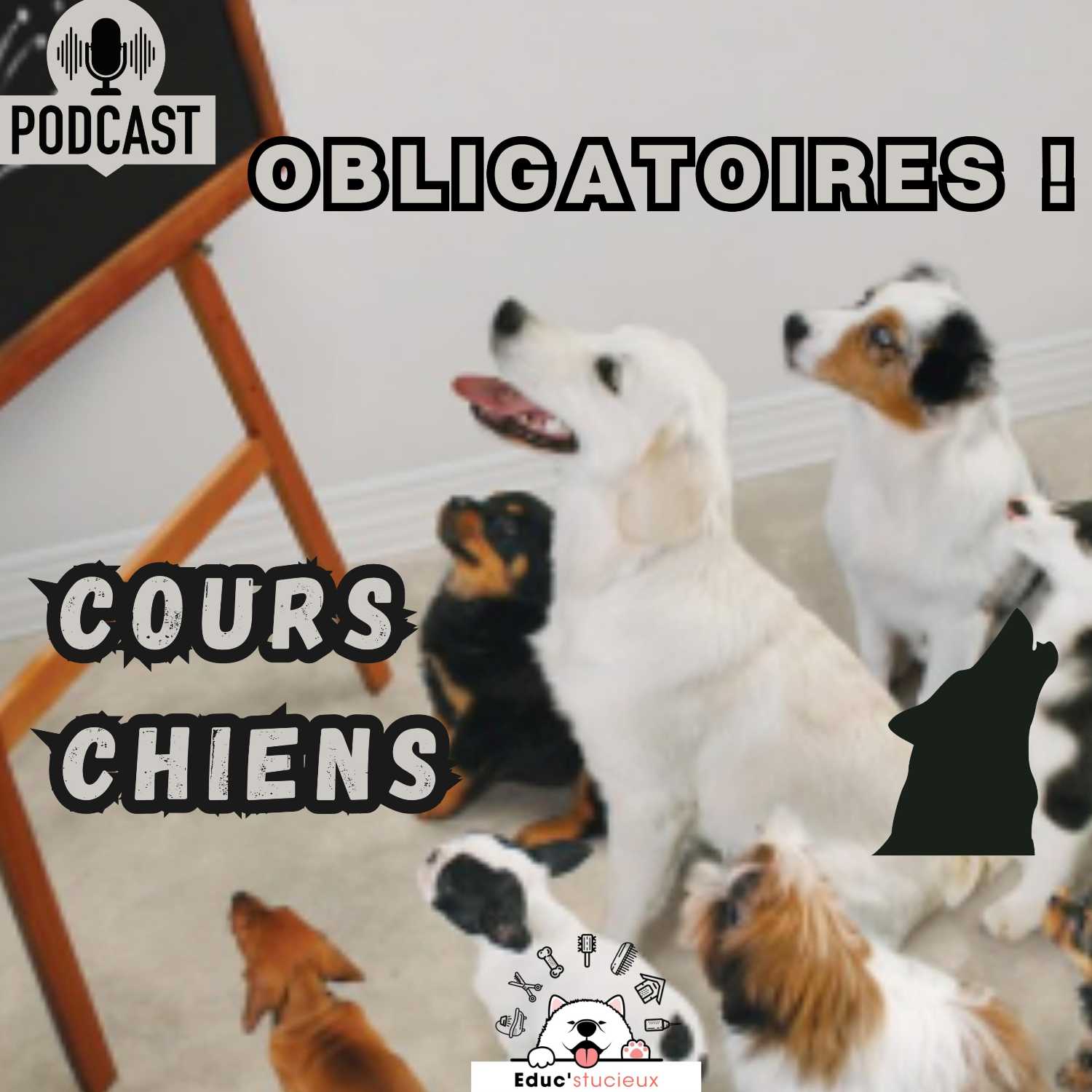 Les chiens - Cani Curieux - By Centre Canin Éduc\'stucieux